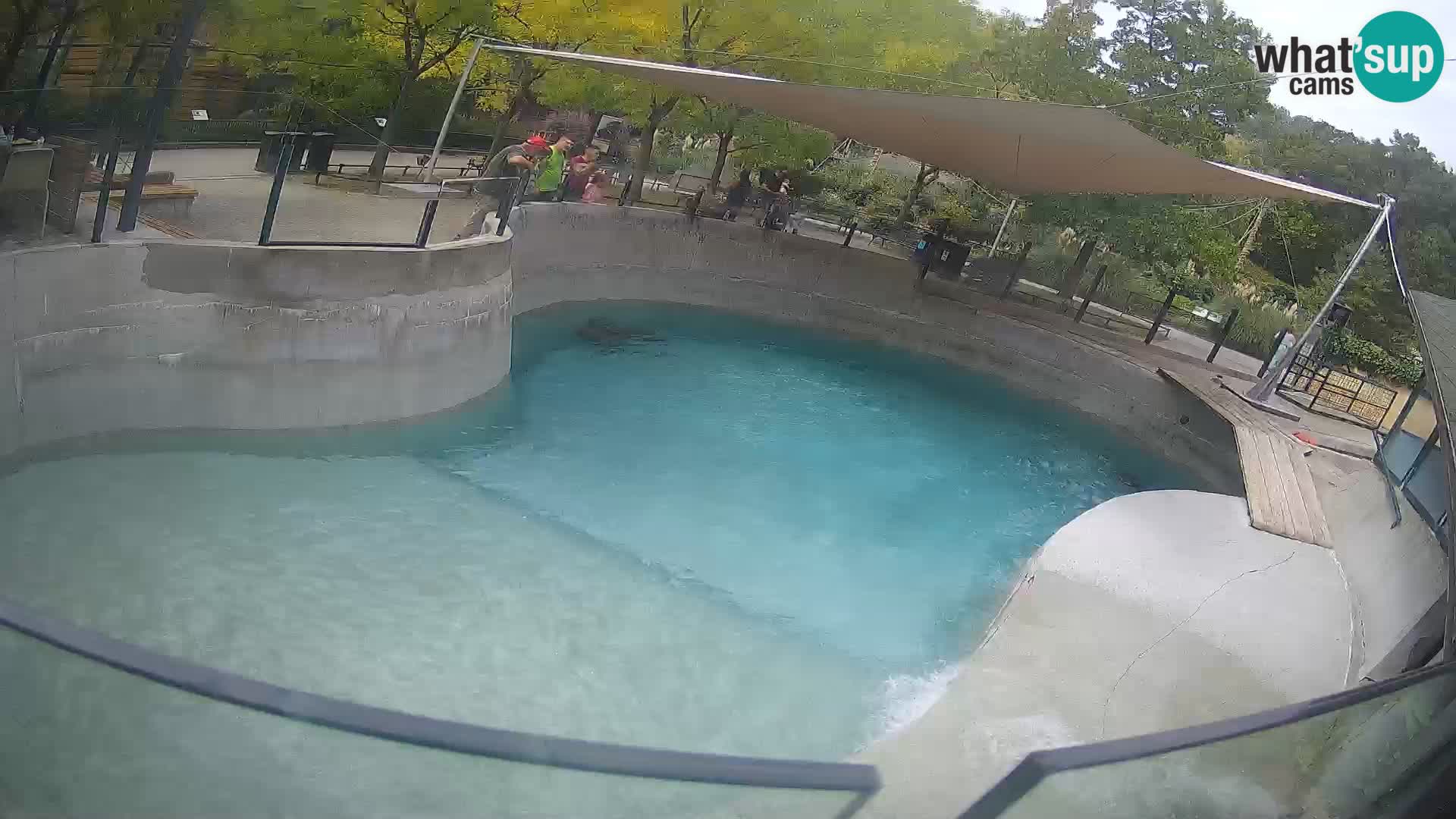 Zoo Zagreb – Kalifornijski morski lav