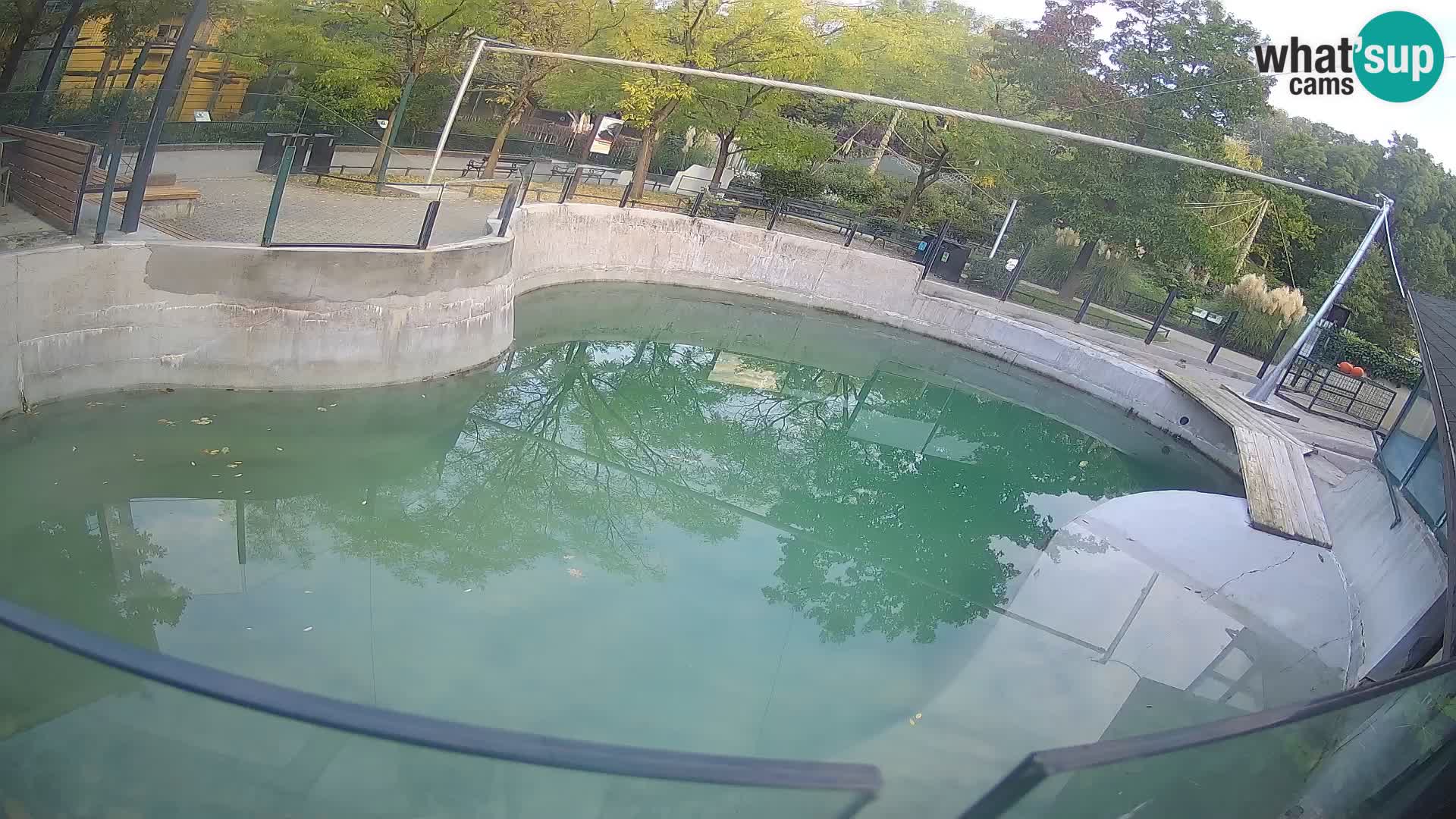 Zoo Zagreb – Kalifornijski morski lav