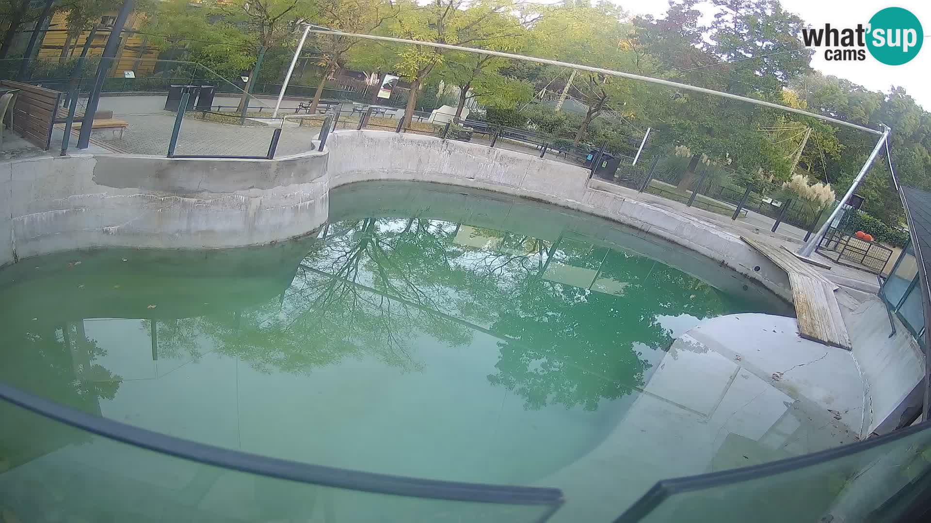 Zoo Zagreb – Kalifornijski morski lav
