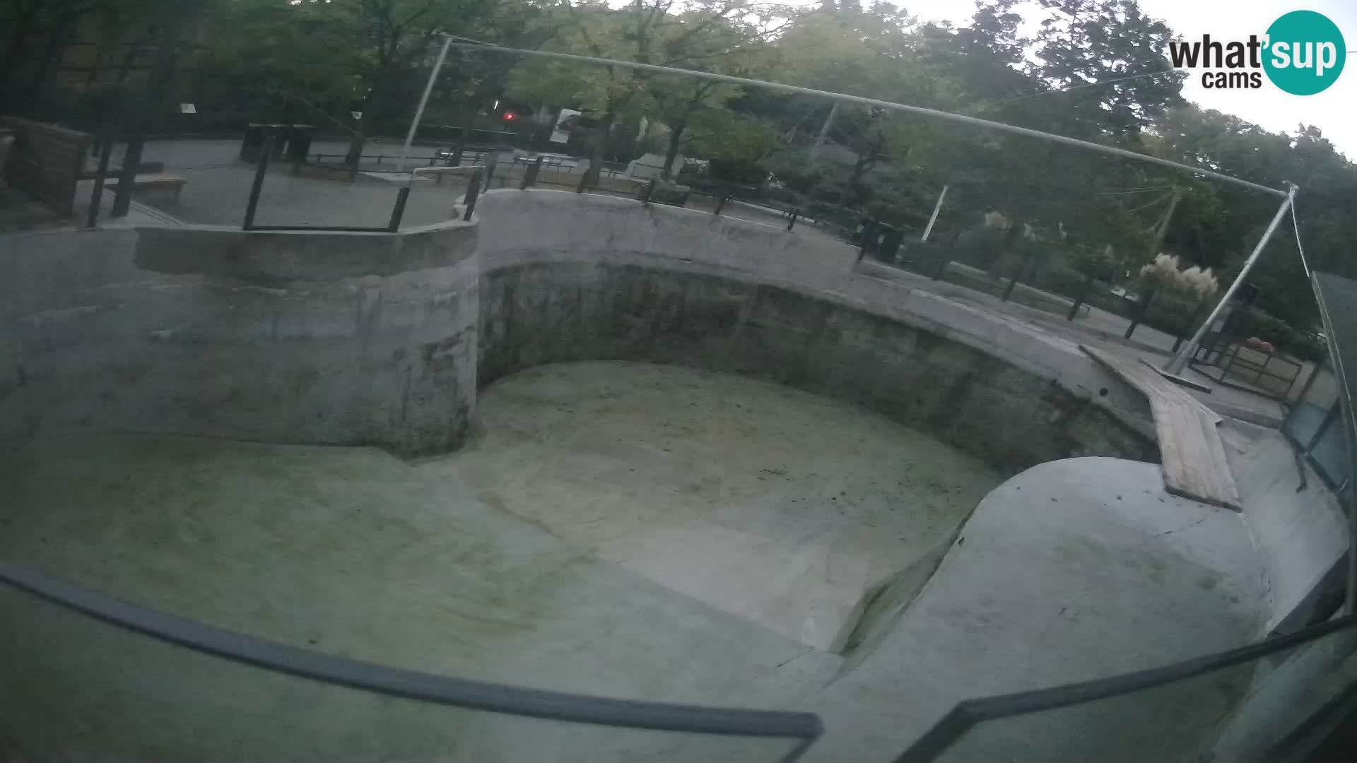 Zoo Zagreb – Kalifornijski morski lav