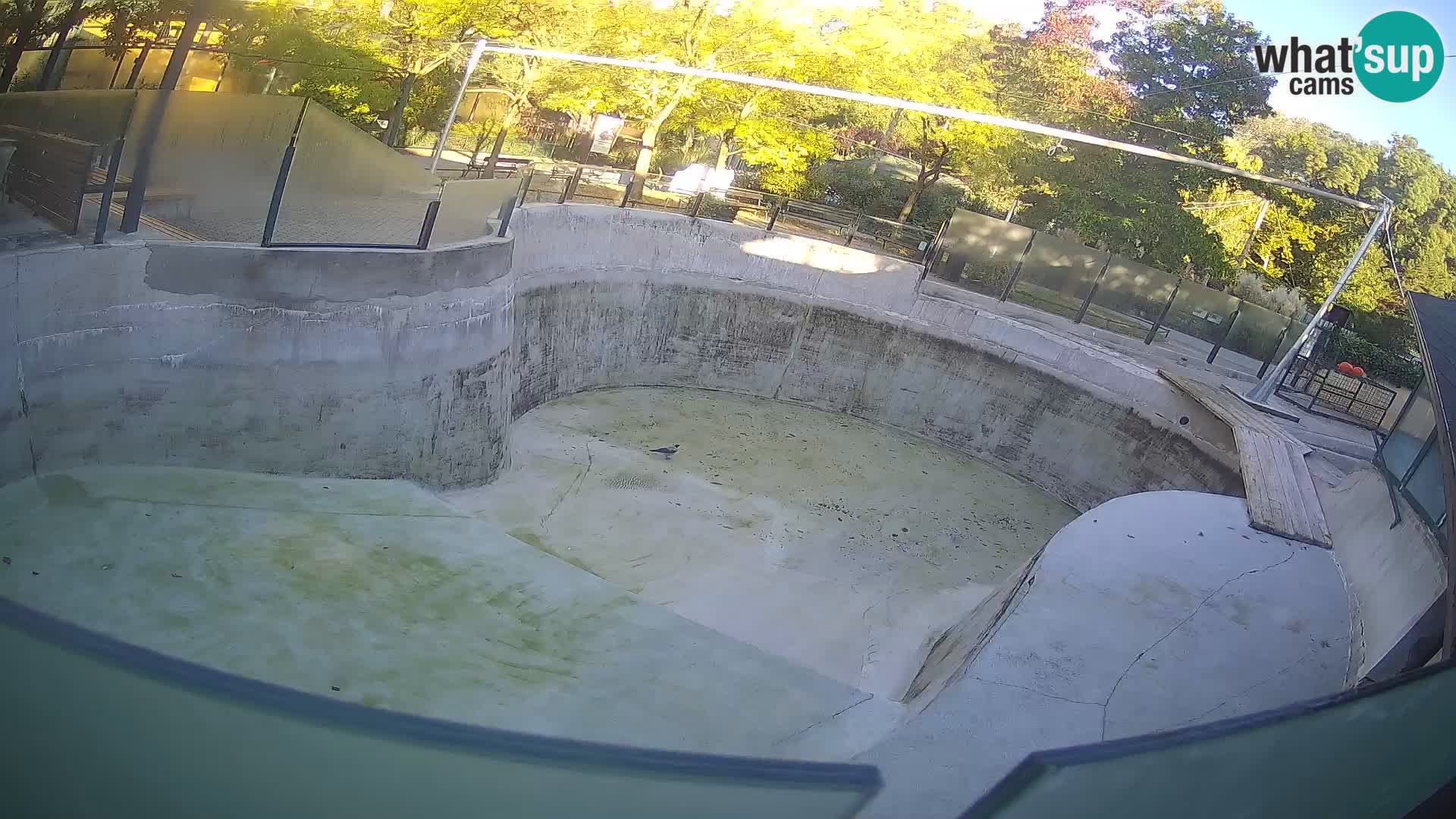 Zoo Zagreb – Kalifornijski morski lav