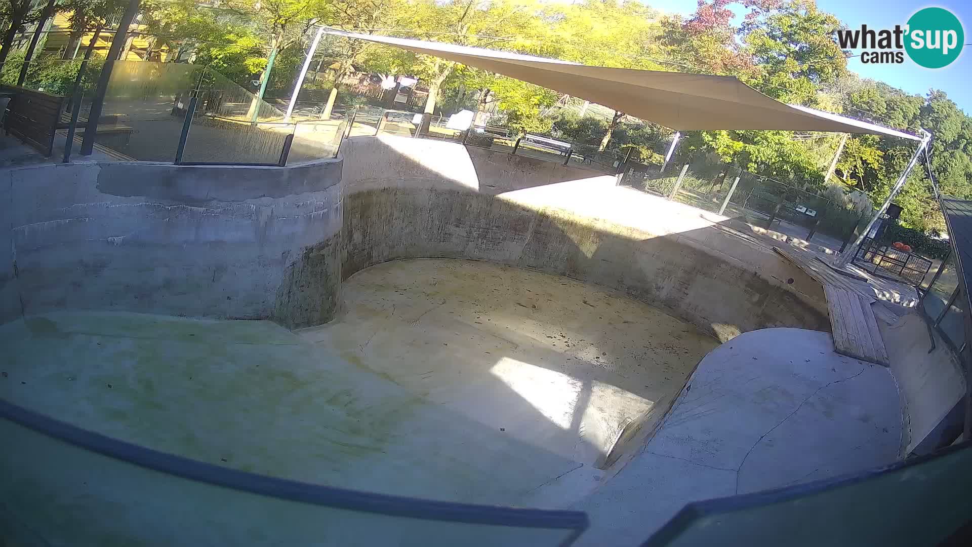 Zoo Zagreb –  León marino de California