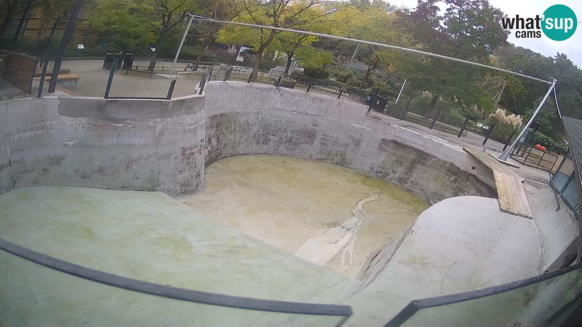 Zoo Zagreb – Kalifornijski morski lav