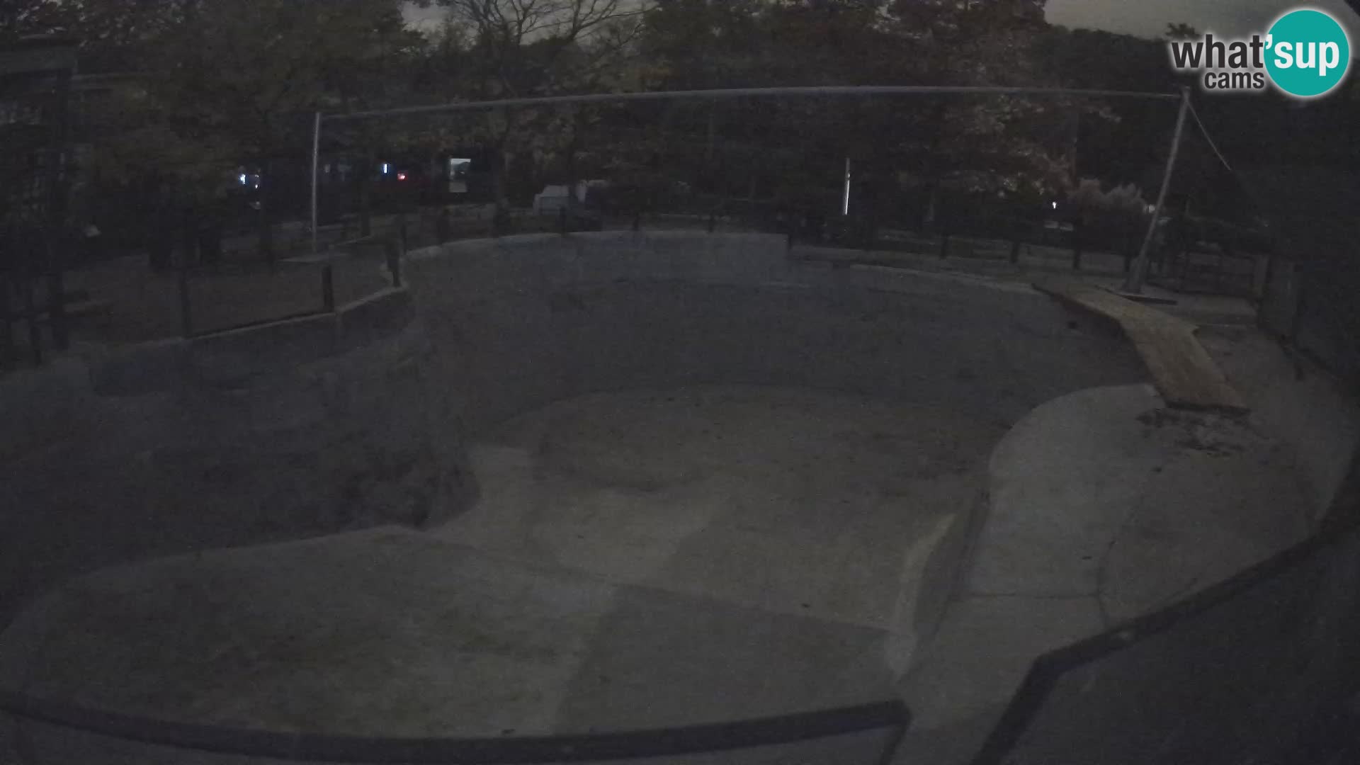 Zoo Zagreb – Kalifornijski morski lav