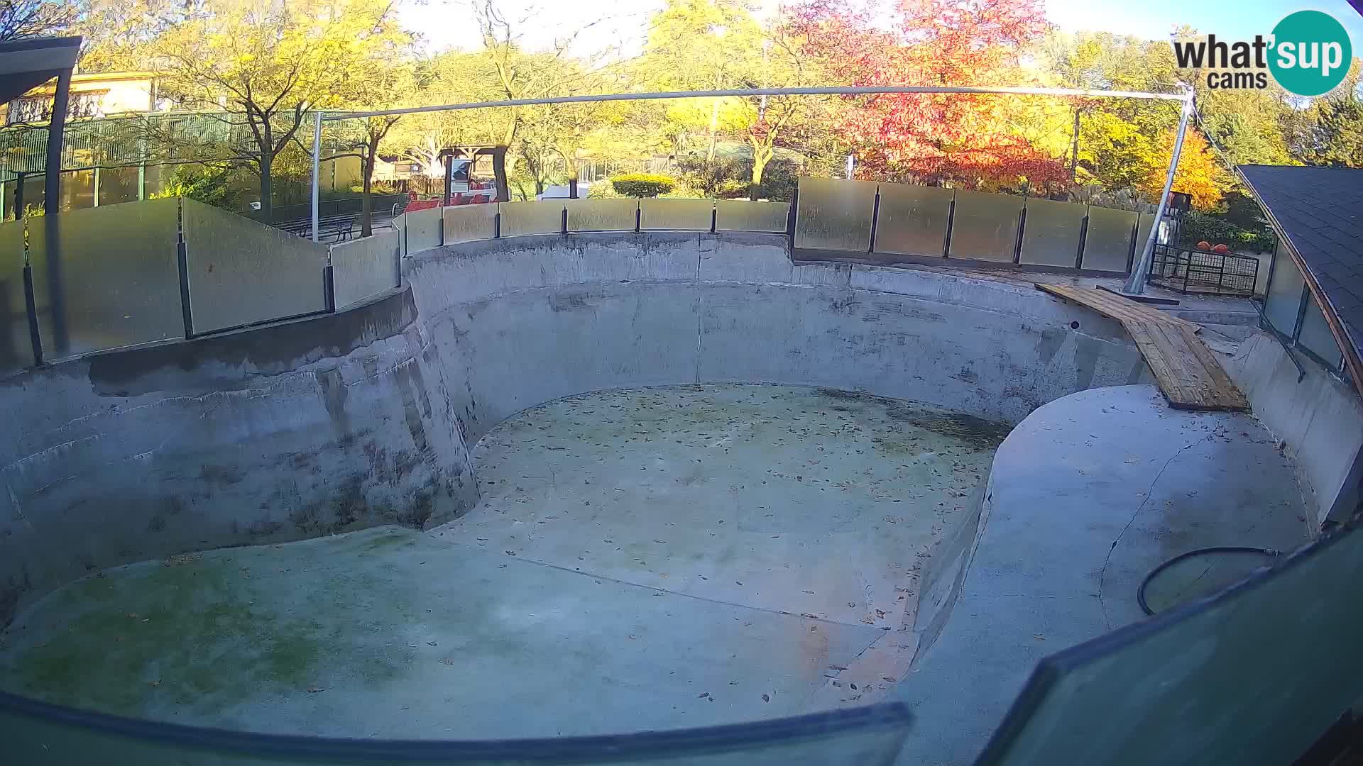 Zoo Zagreb – Kalifornijski morski lav