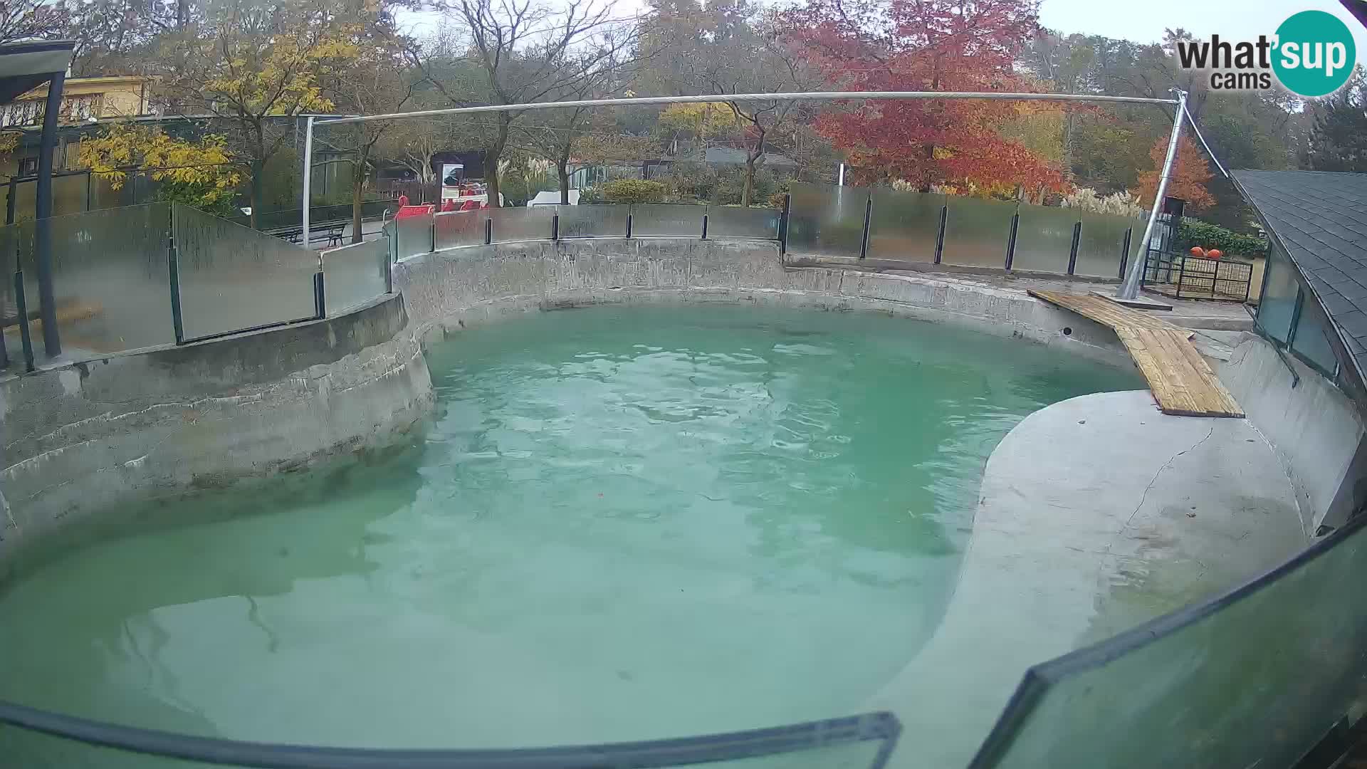 Zoo Zagreb – Kalifornijski morski lav