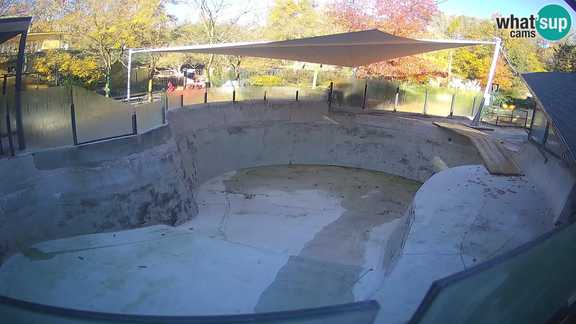 Zoo Zagreb – Kalifornischer Seelöwe