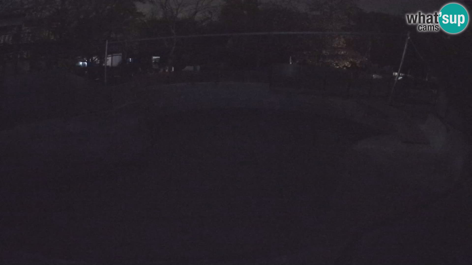 Zoo Zagreb – Kalifornijski morski lav