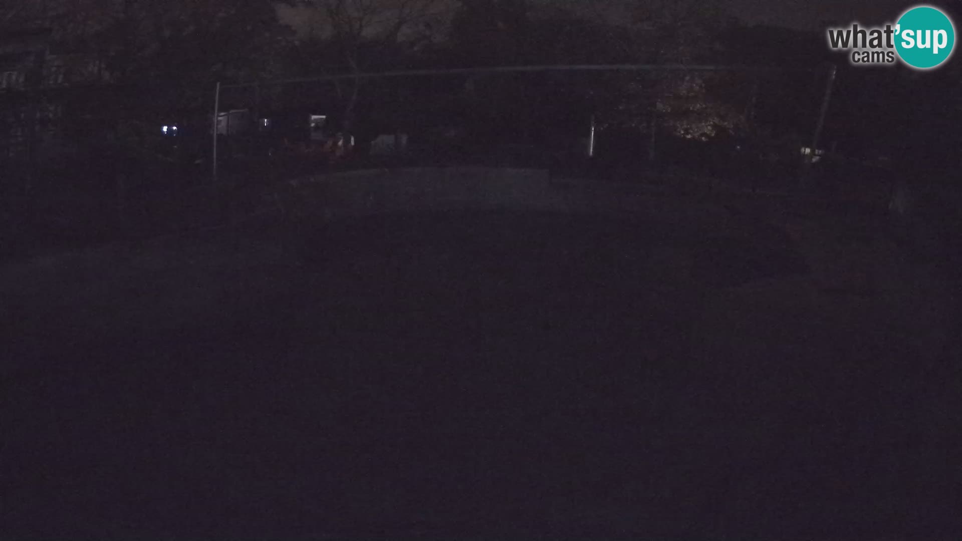 Zoo Zagreb – Otarie de Californie