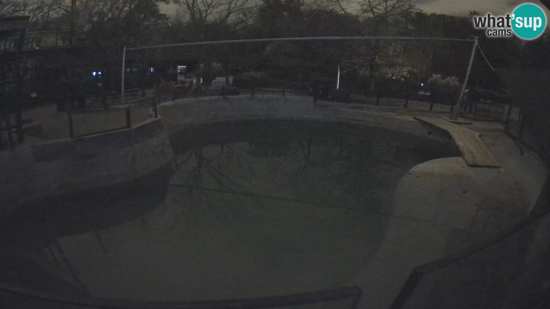 Zoo Zagreb – Otarie de Californie