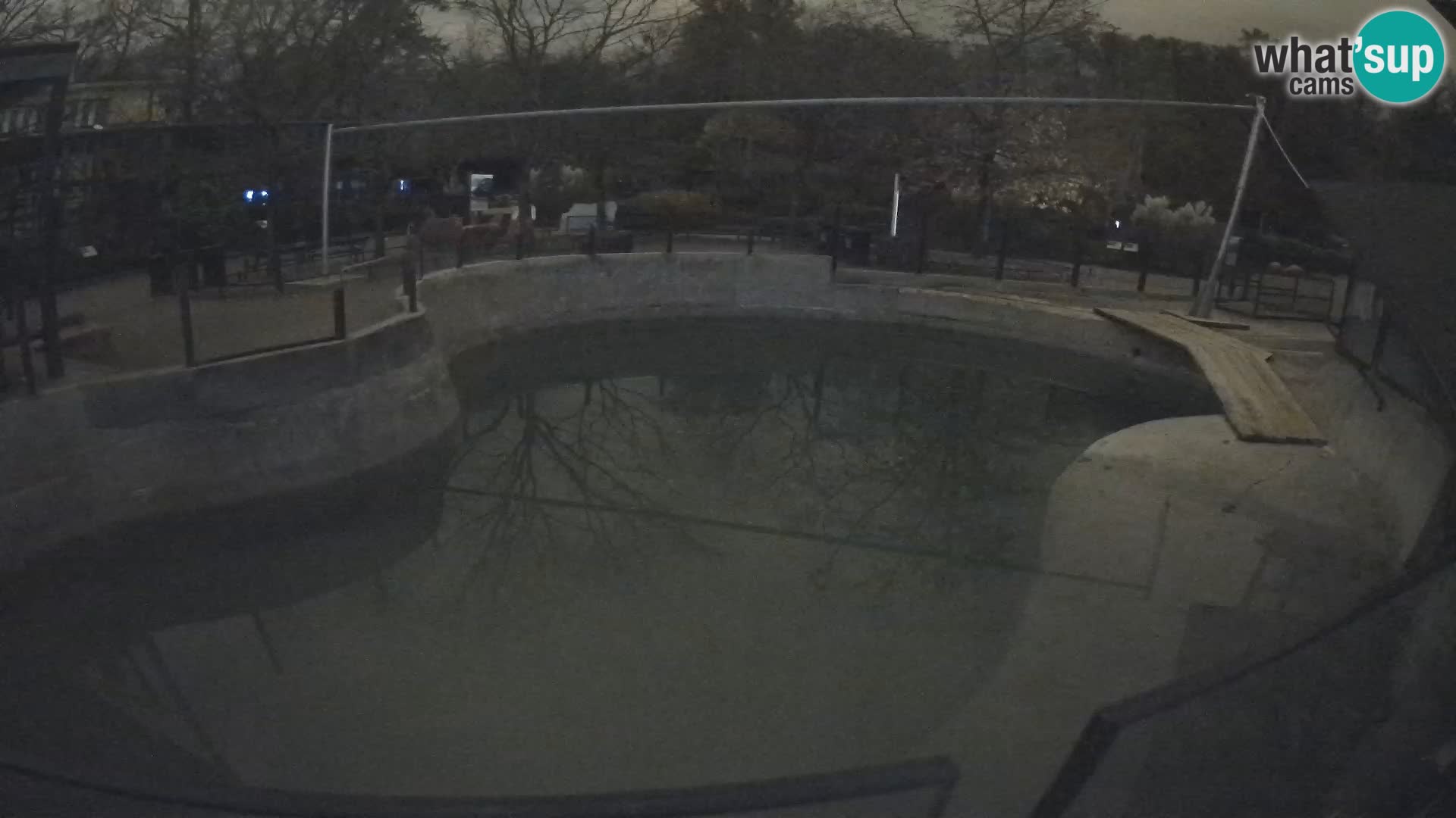 Zoo Zagreb – Kalifornijski morski lav