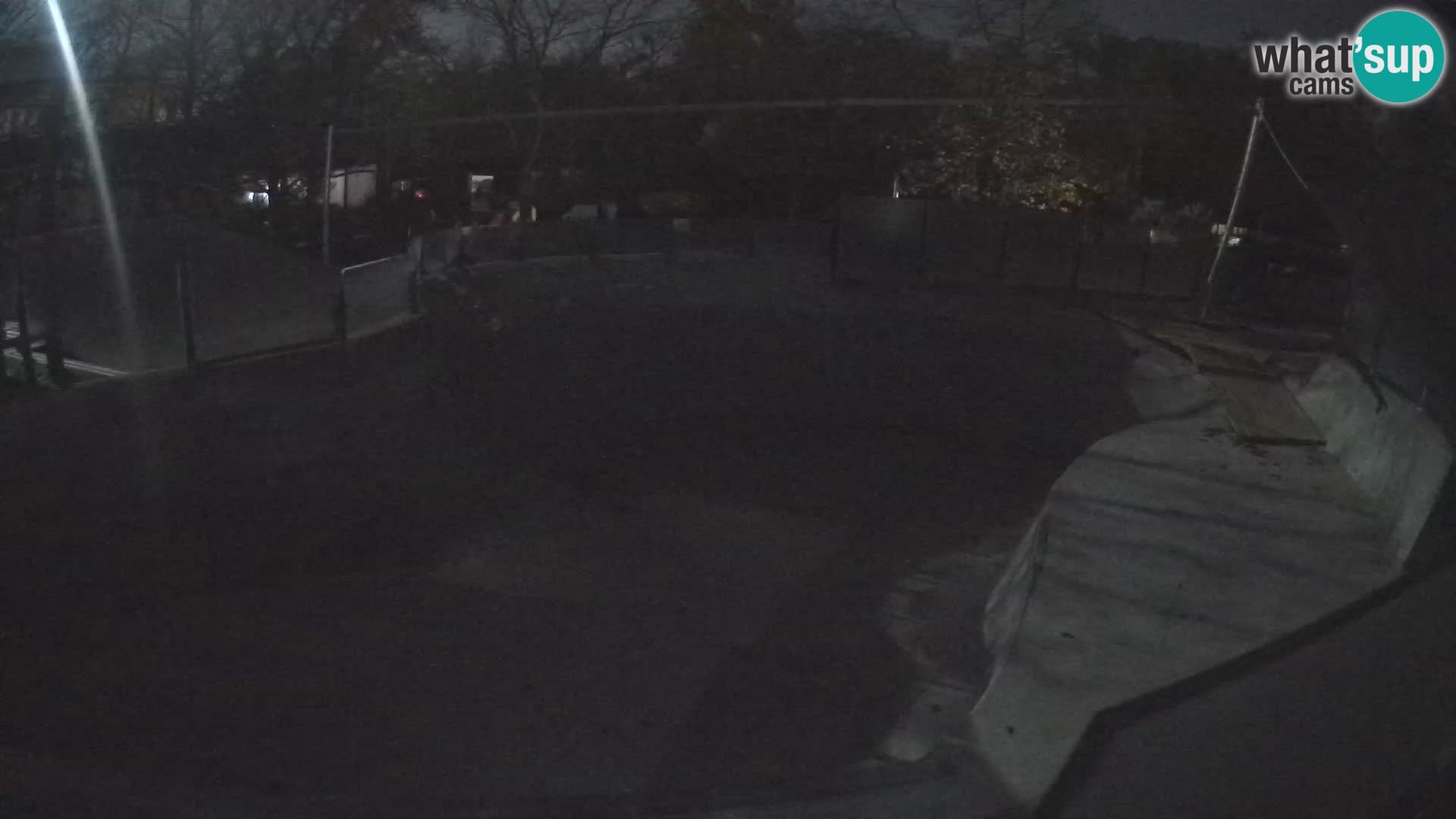 Zoo Zagreb –  León marino de California