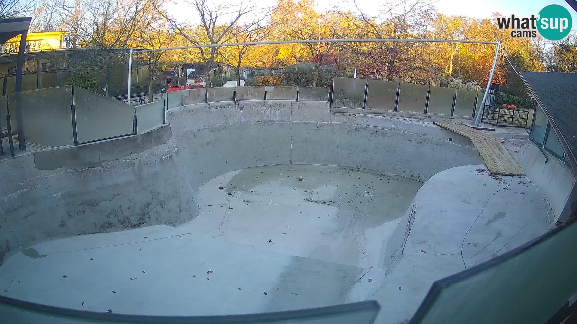 Zoo Zagreb – Kalifornijski morski lav