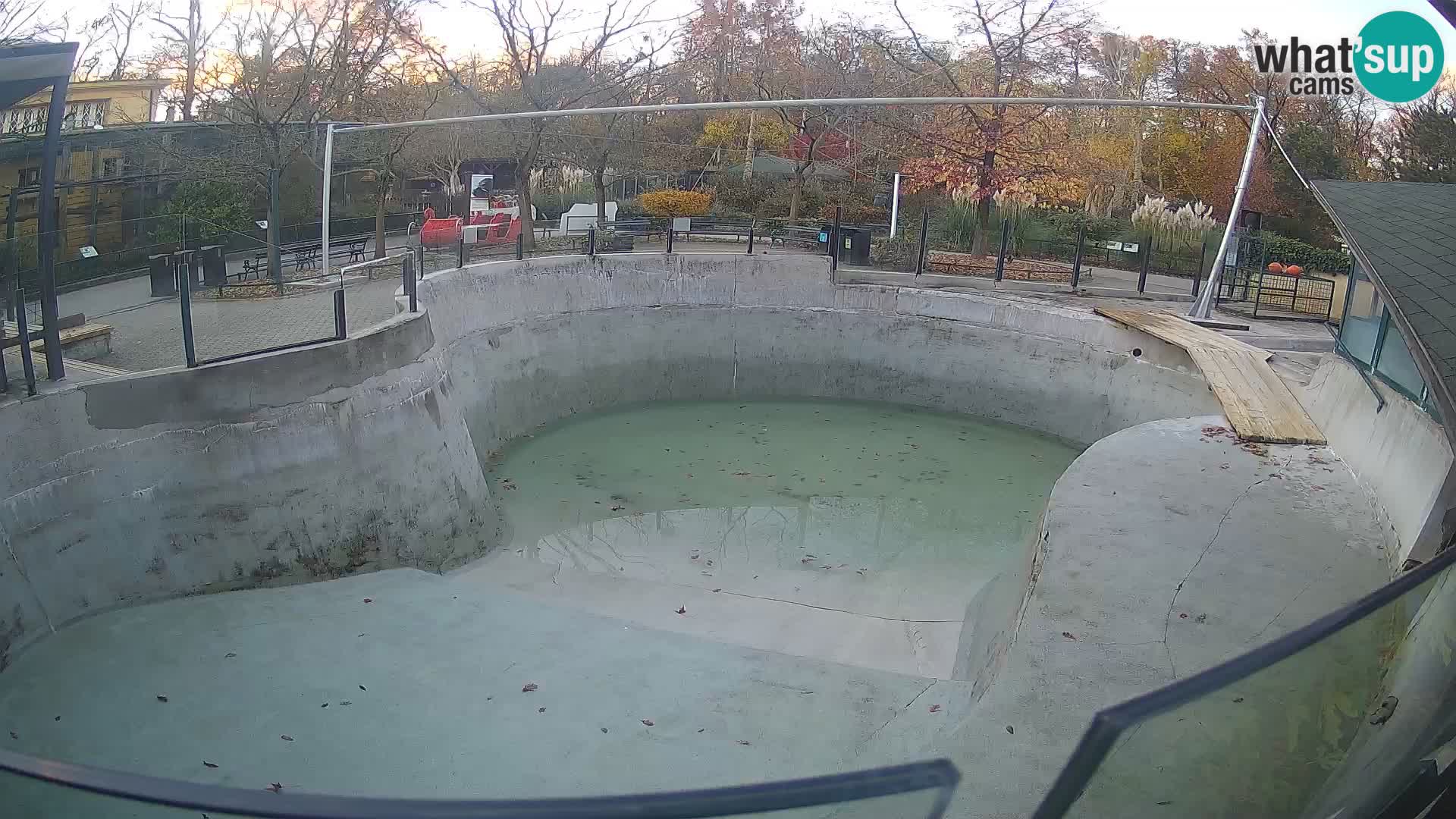 Zoo Zagreb –  León marino de California