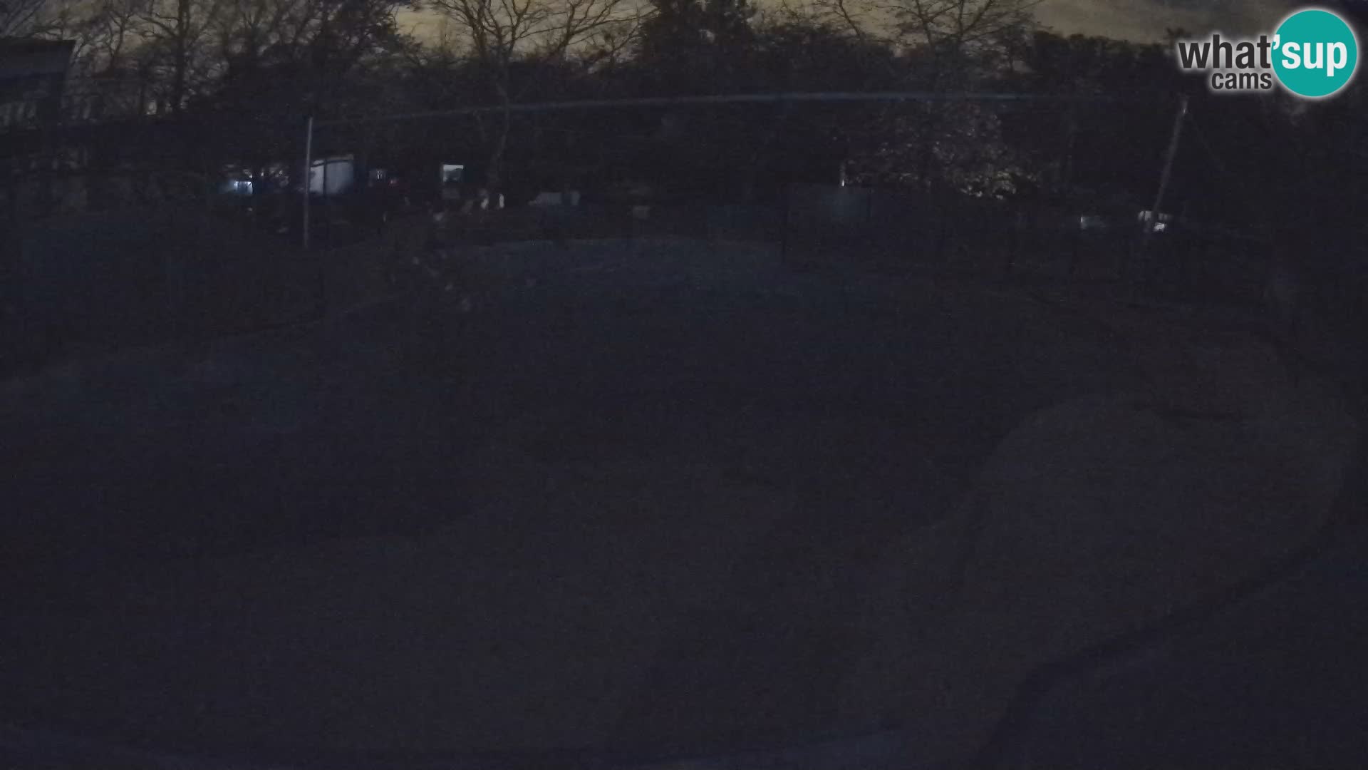 Zoo Zagreb –  León marino de California