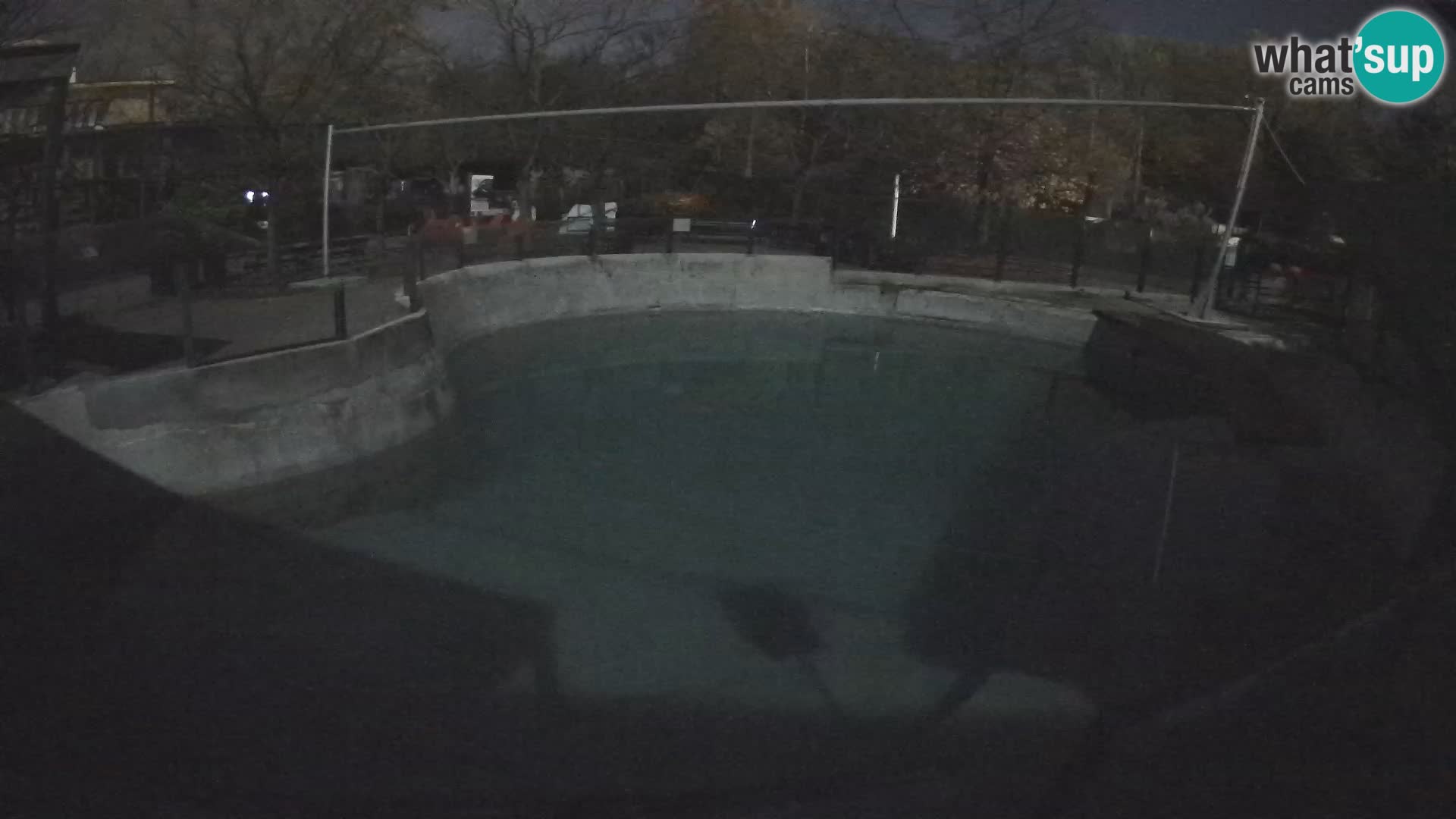 Zoo Zagreb –  León marino de California