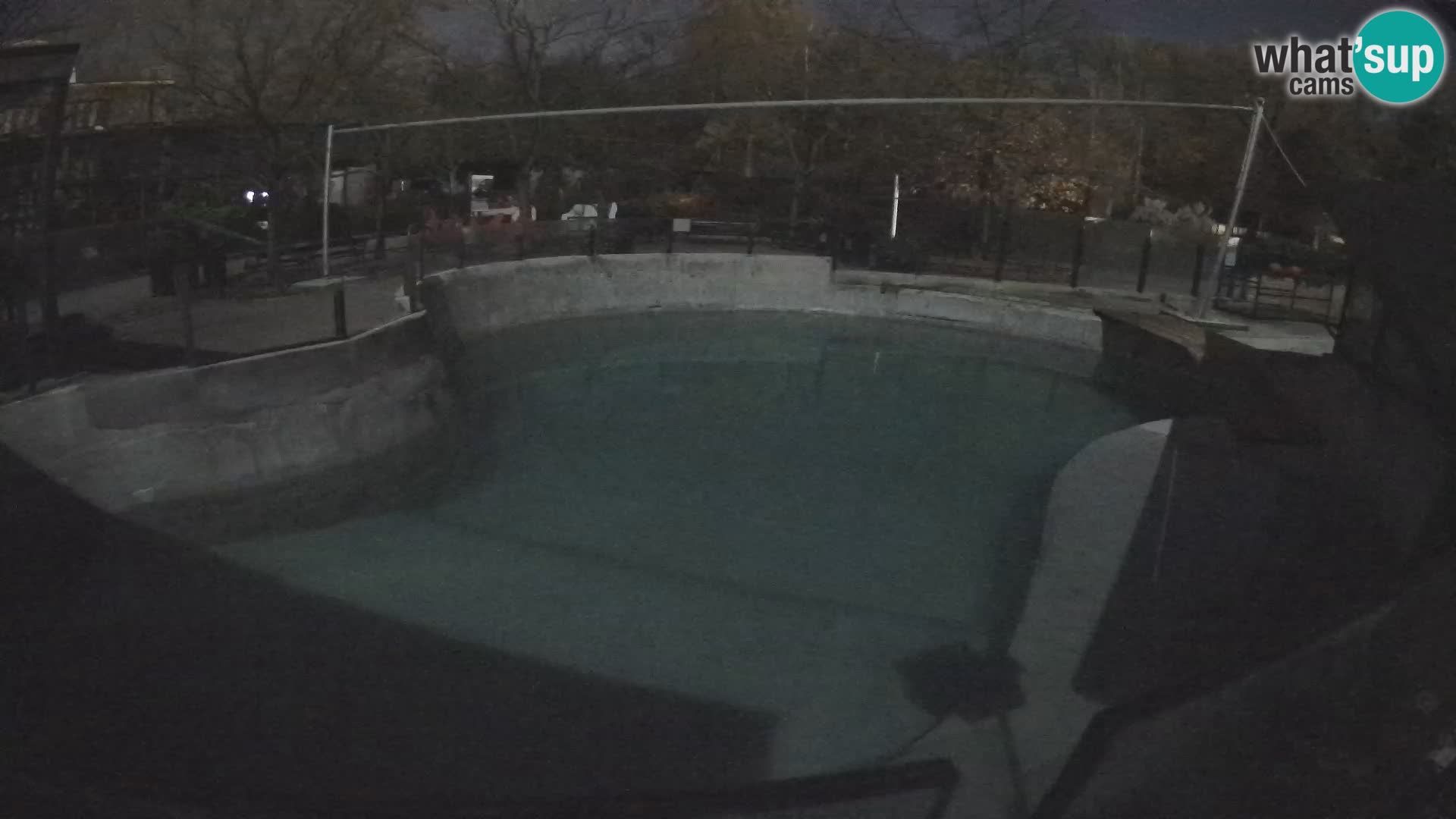 Zoo Zagreb –  León marino de California