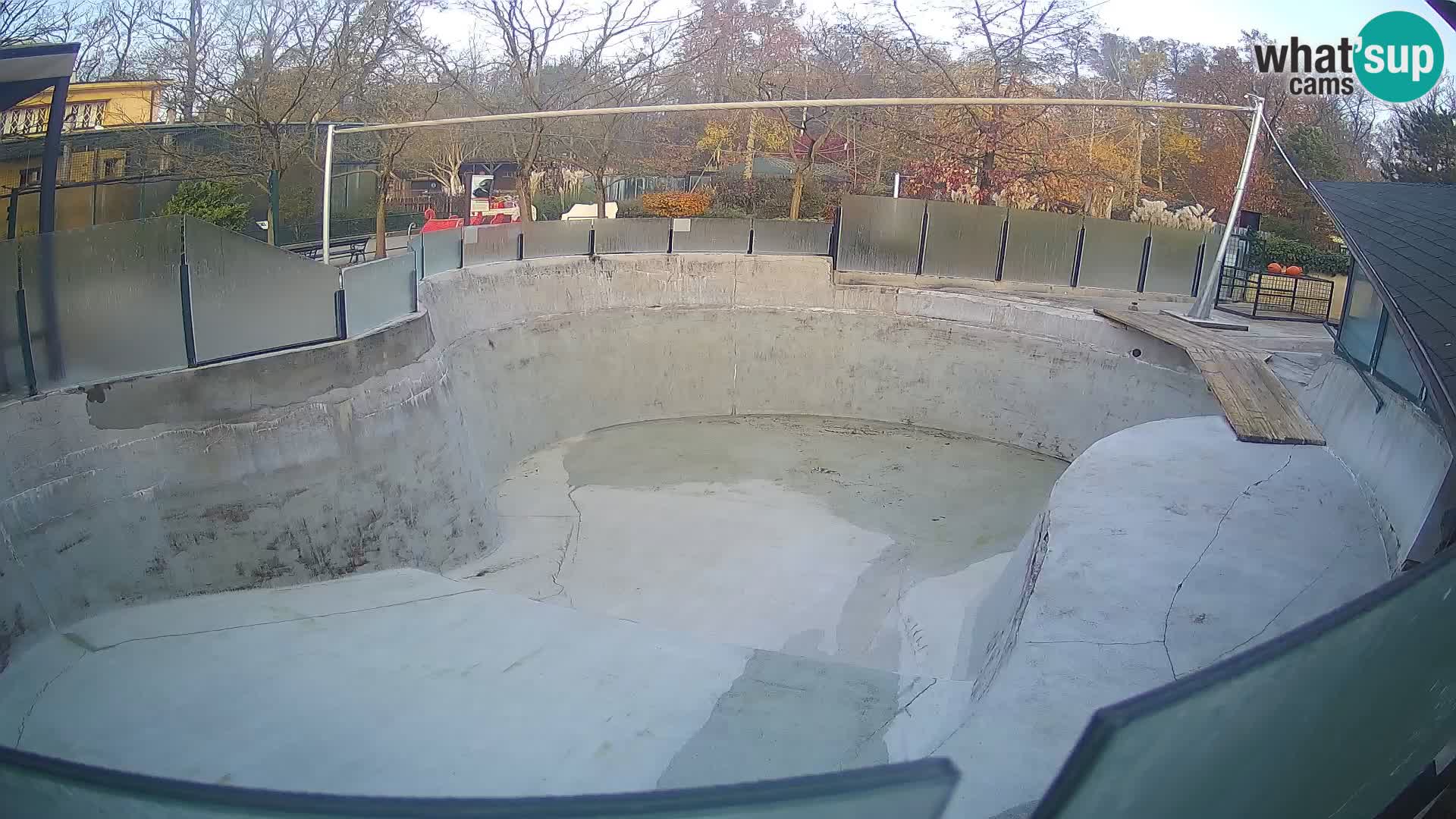 Zoo Zagreb – Kalifornijski morski lav