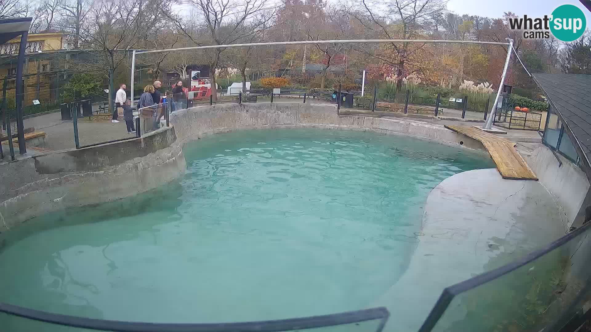 Zoo Zagreb – Otarie de Californie