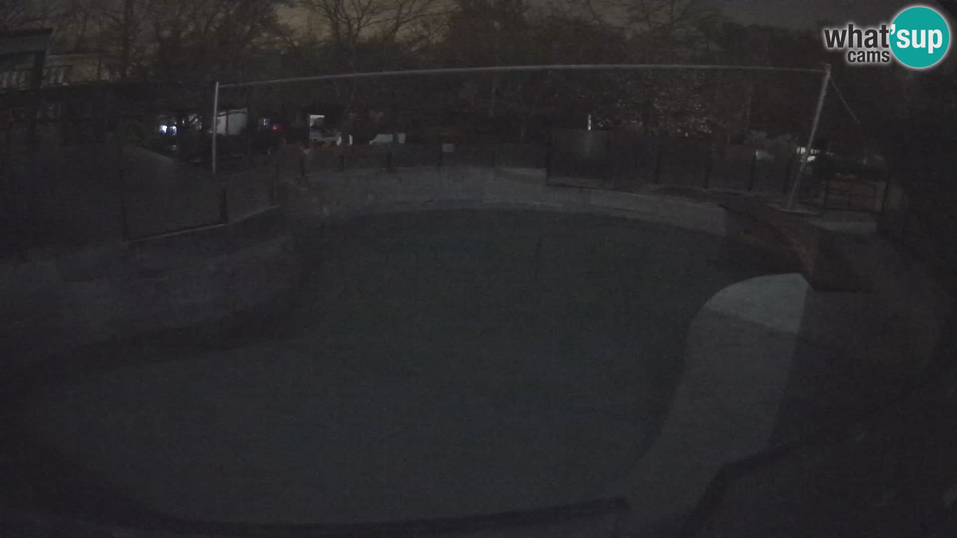 Zoo Zagreb – Kalifornijski morski lav