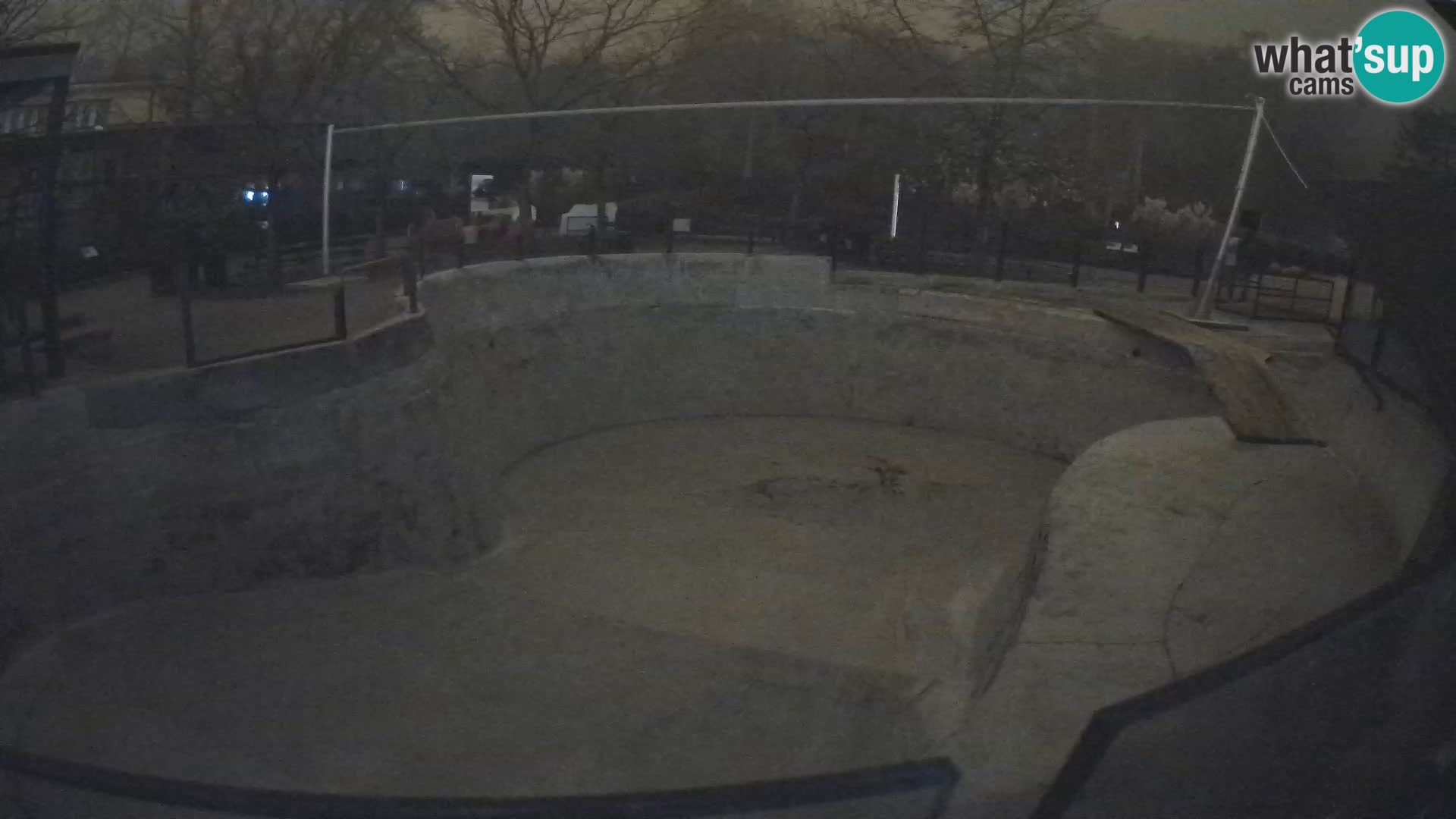 Zoo Zagreb – Kalifornijski morski lav