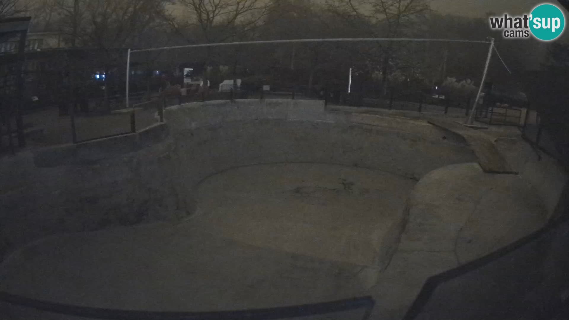 Zoo Zagreb – Kalifornijski morski lav