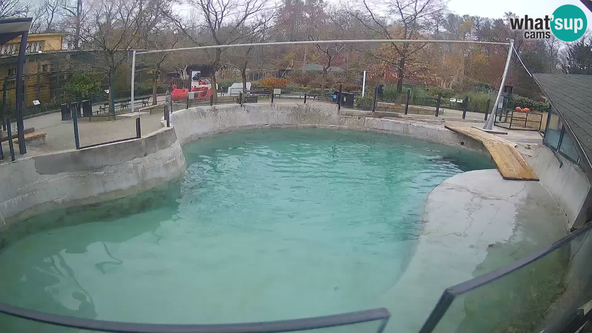 Zoo Zagreb – Kalifornijski morski lav