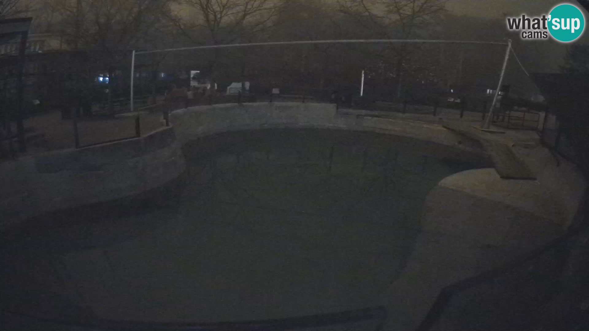 Zoo Zagreb – Otarie de Californie