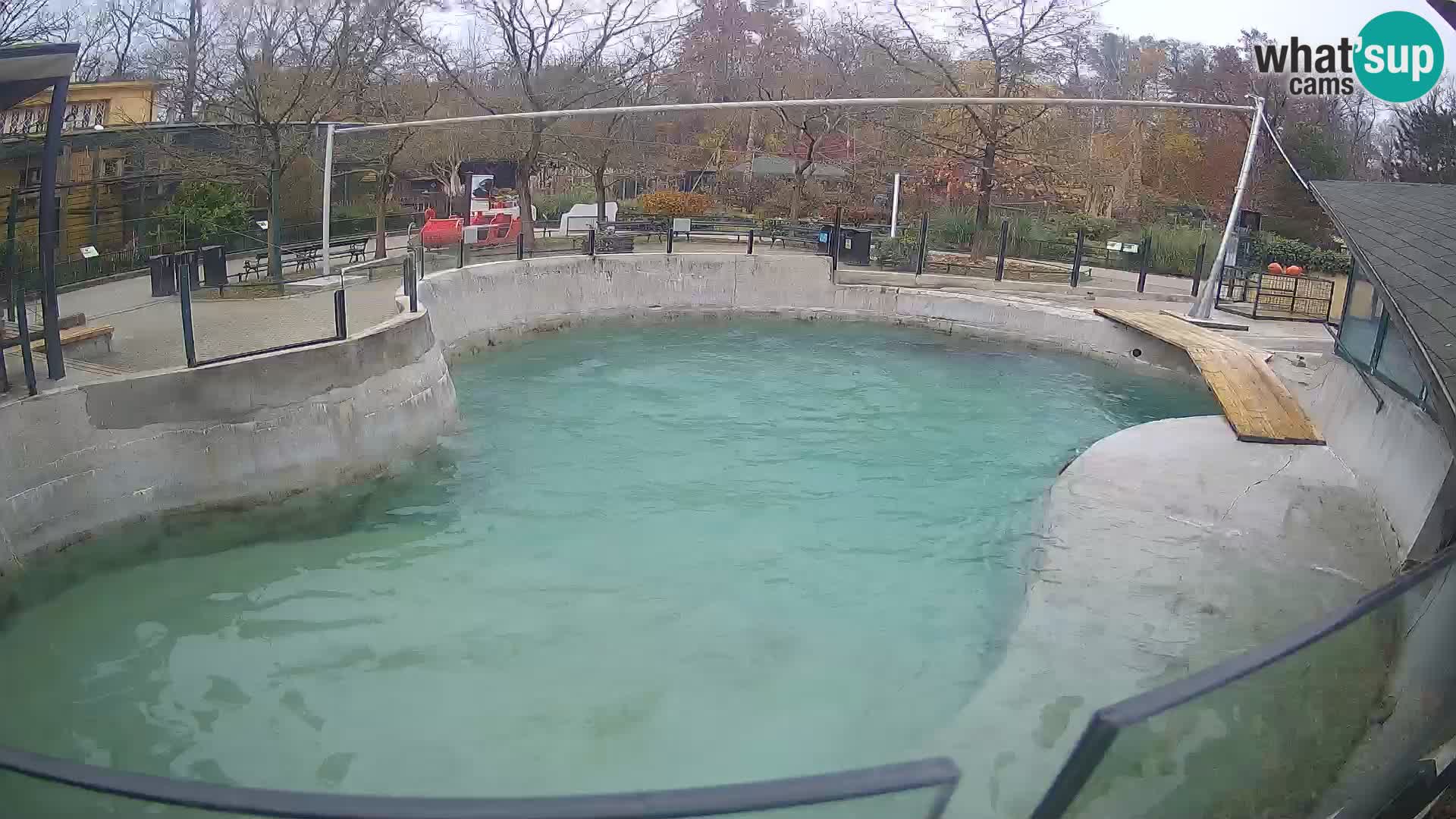 Zoo Zagreb – Kalifornijski morski lav