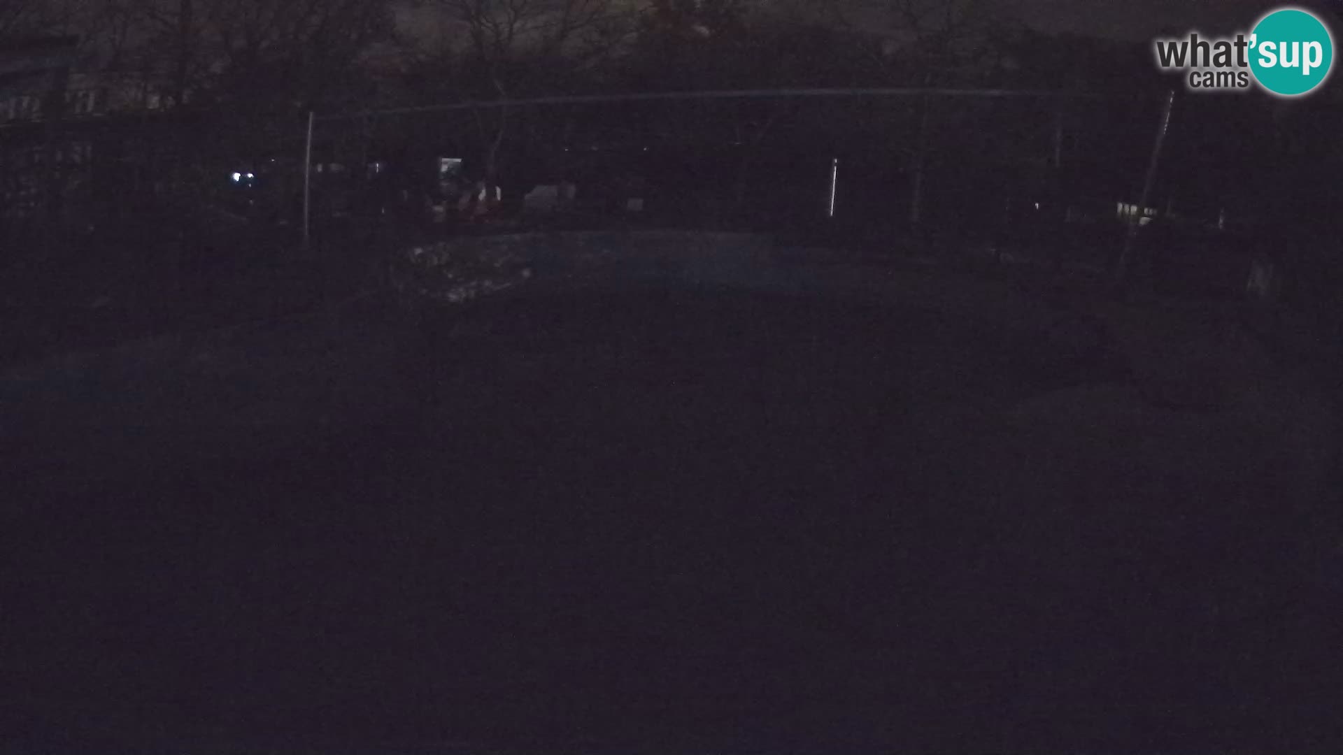 Zoo Zagreb – Kalifornijski morski lav