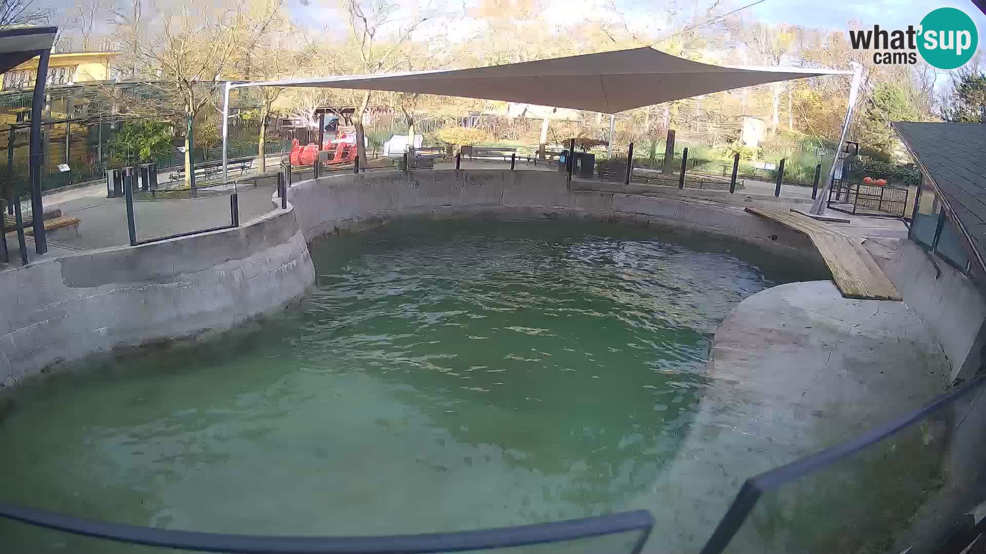 Zoo Zagreb – Kalifornijski morski lav