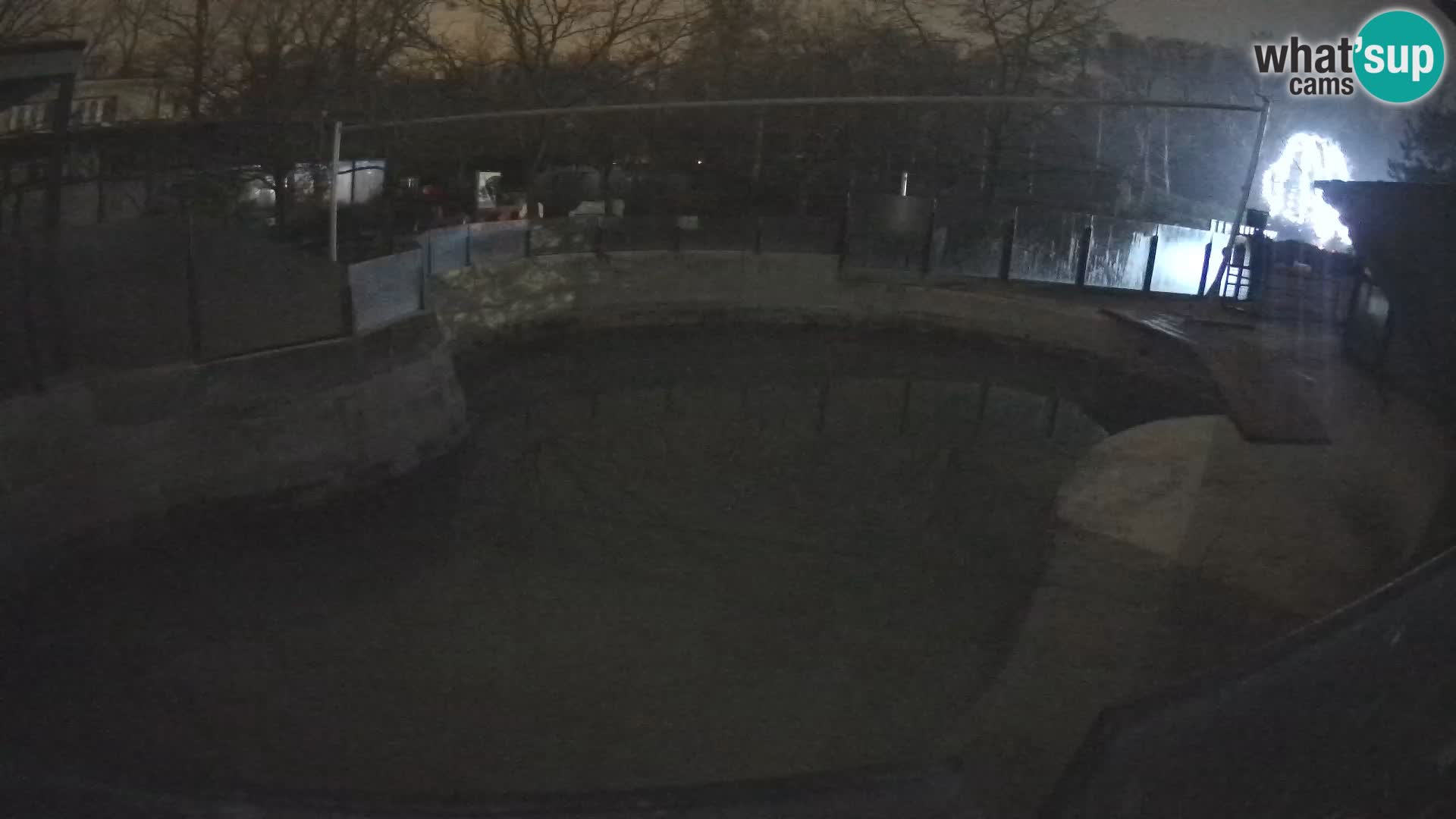 Zoo Zagreb – Kalifornijski morski lav