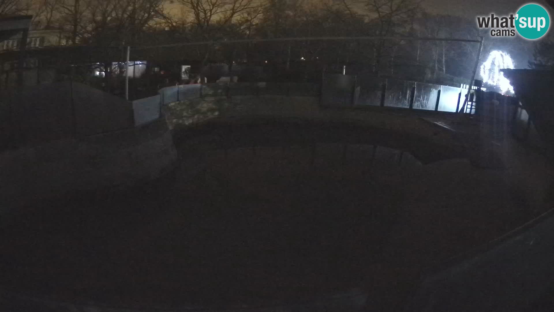 Zoo Zagreb –  León marino de California