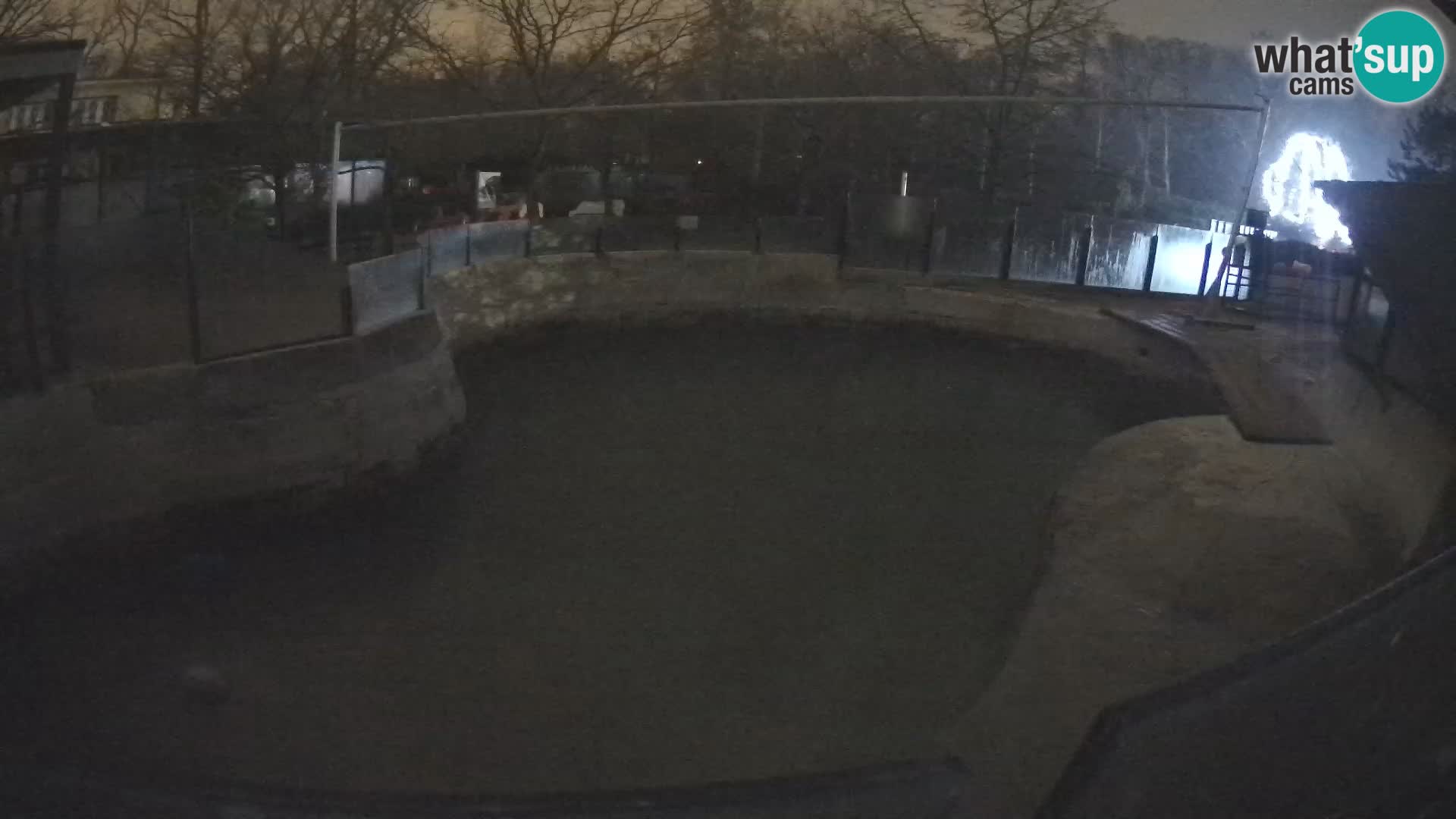 Zoo Zagreb –  León marino de California