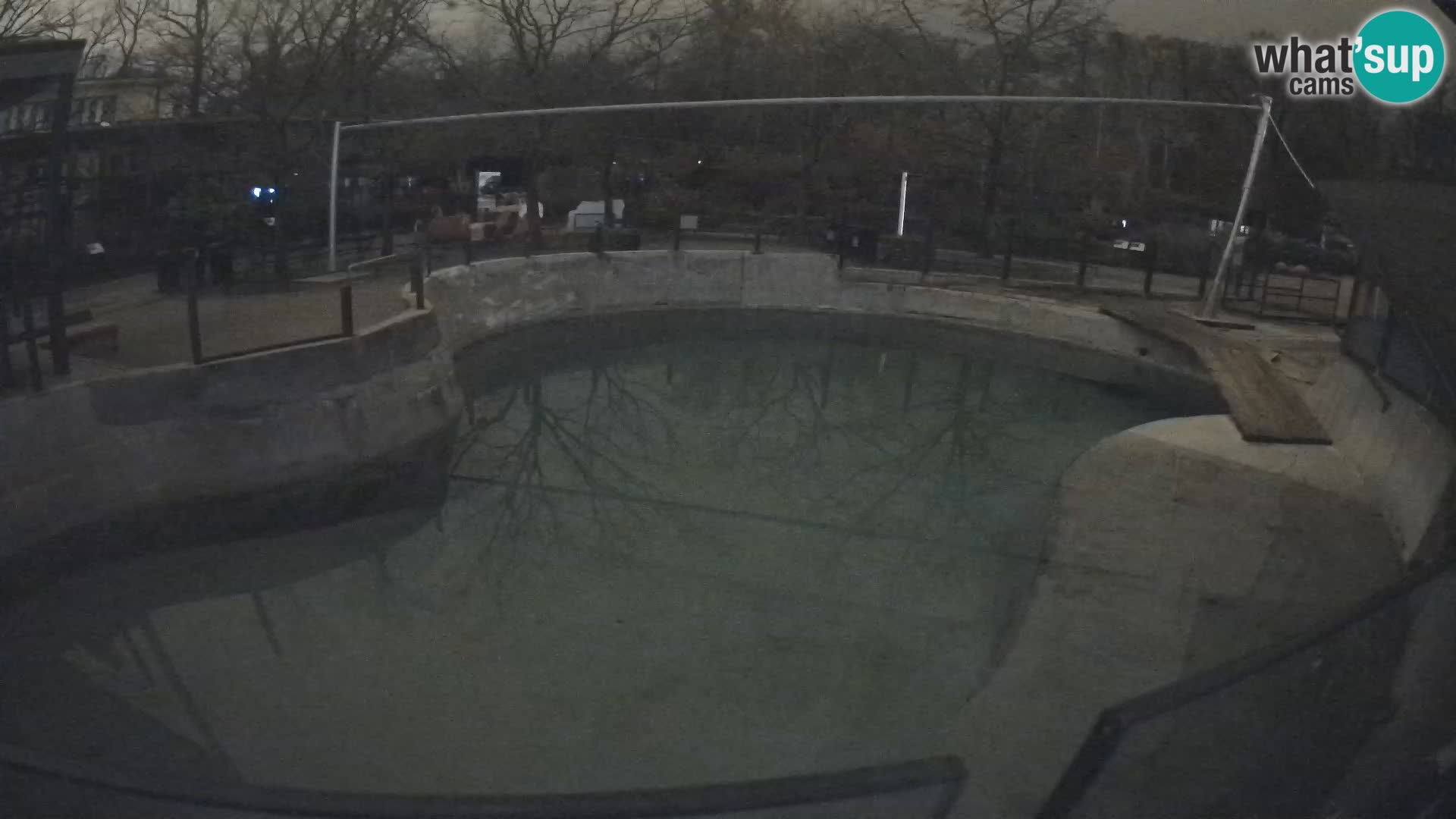 Zoo Zagreb –  León marino de California