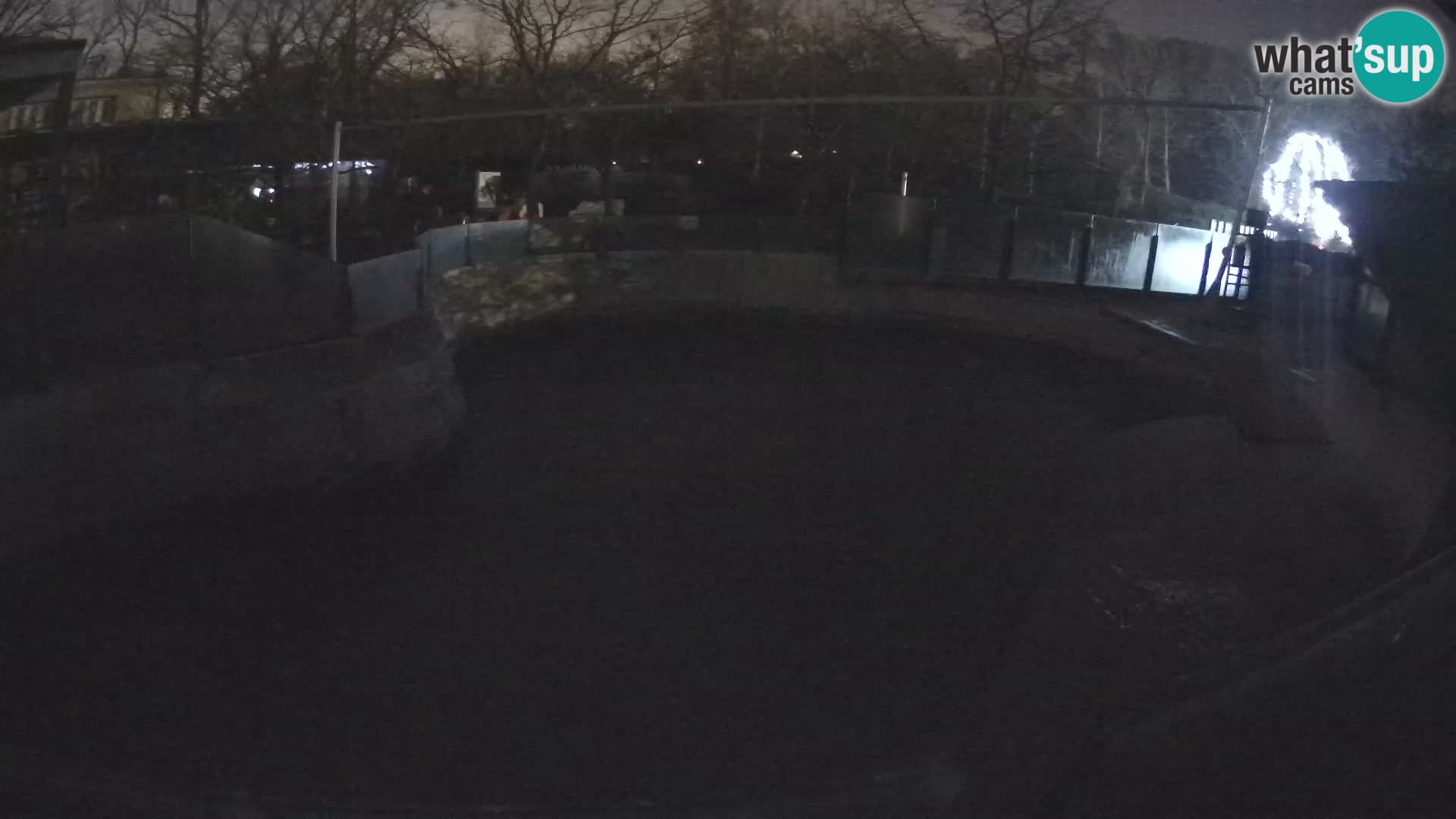 Zoo Zagreb – Otarie de Californie