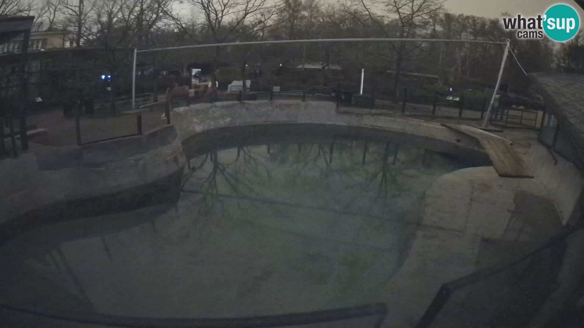 Zoo Zagreb –  León marino de California