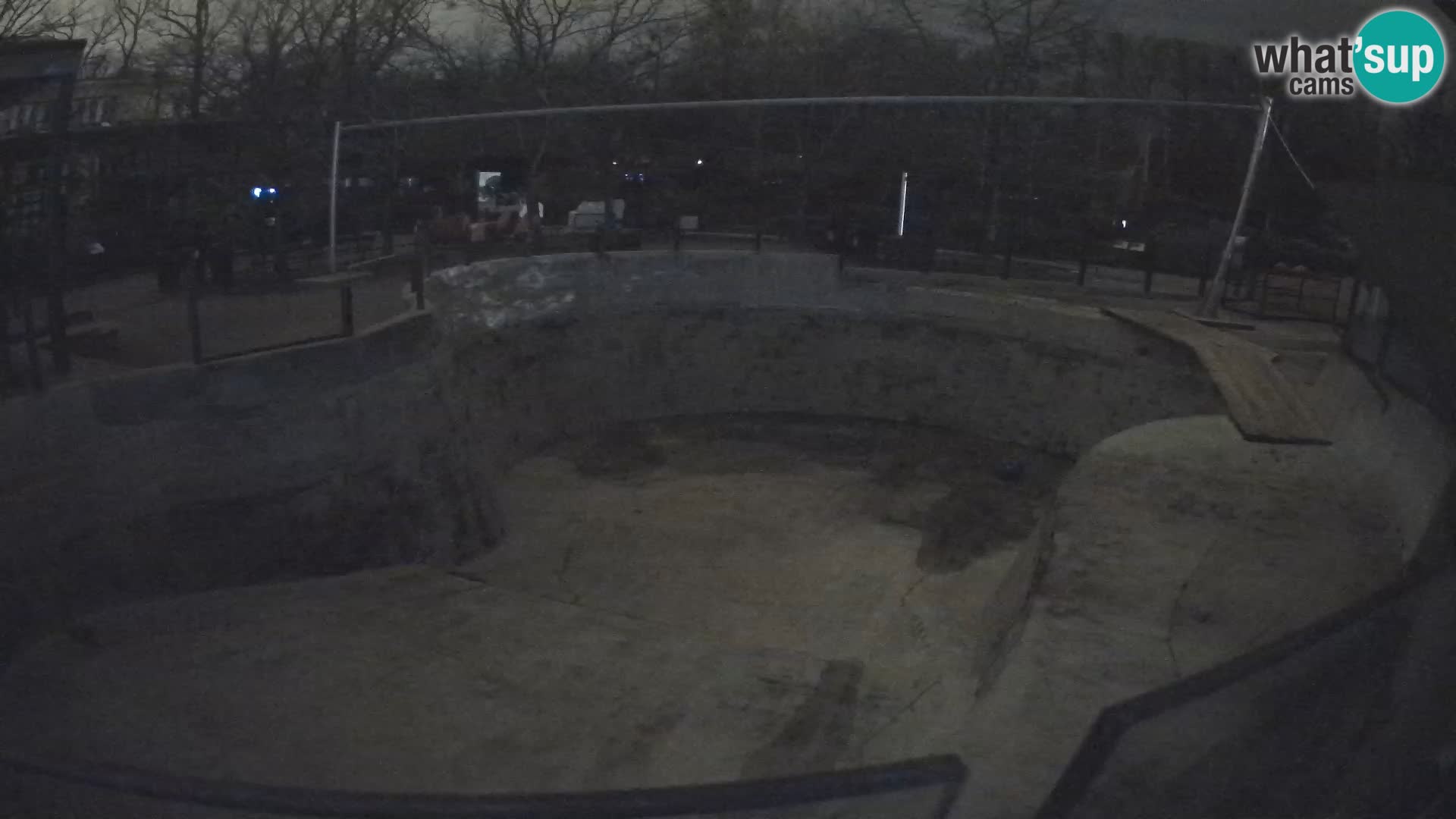 Zoo Zagreb – Kalifornijski morski lav