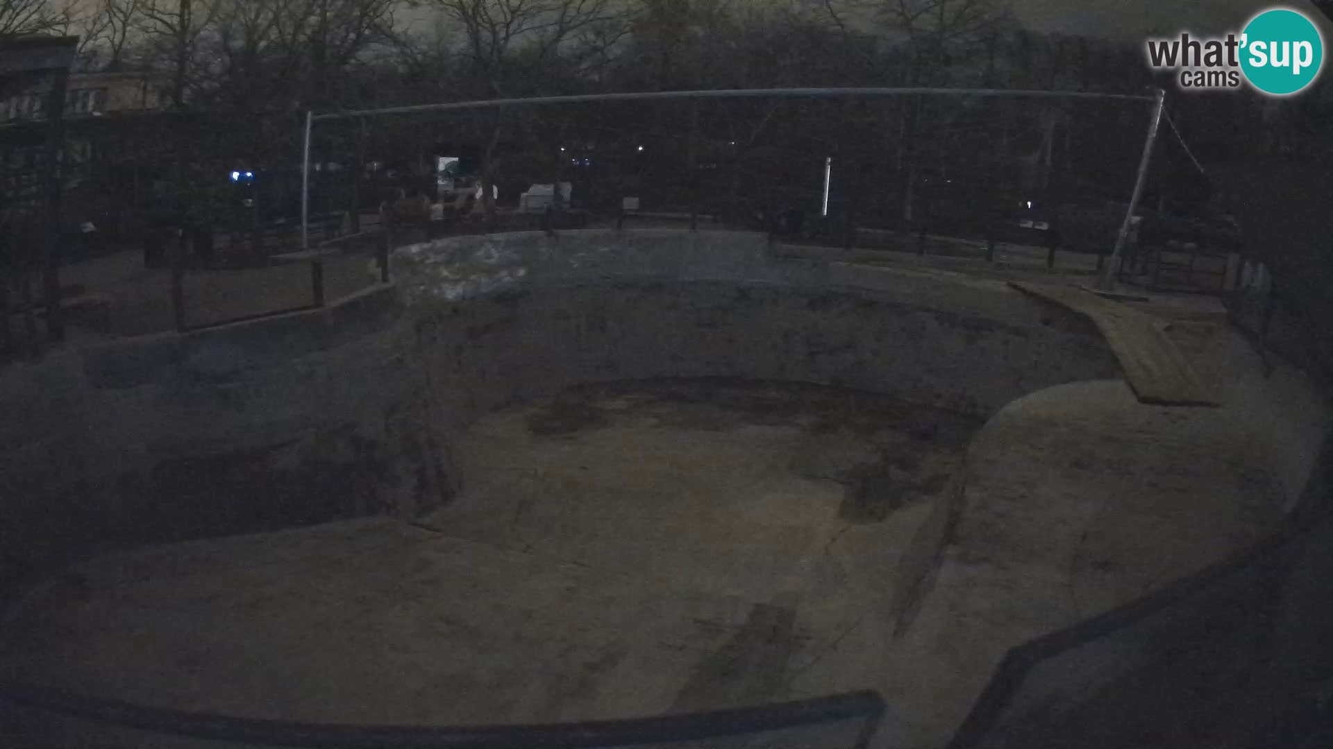 Zoo Zagreb – Kalifornijski morski lav