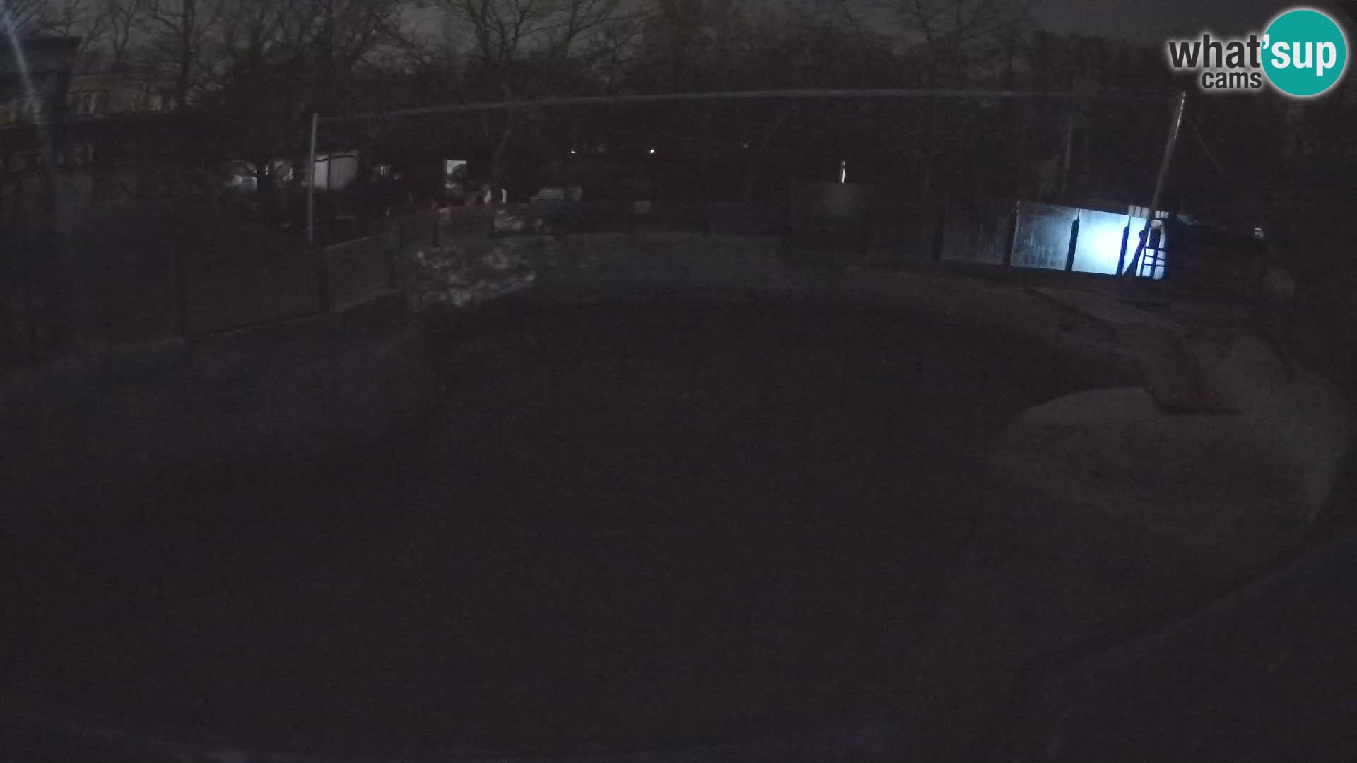 Zoo Zagreb – Kalifornijski morski lav