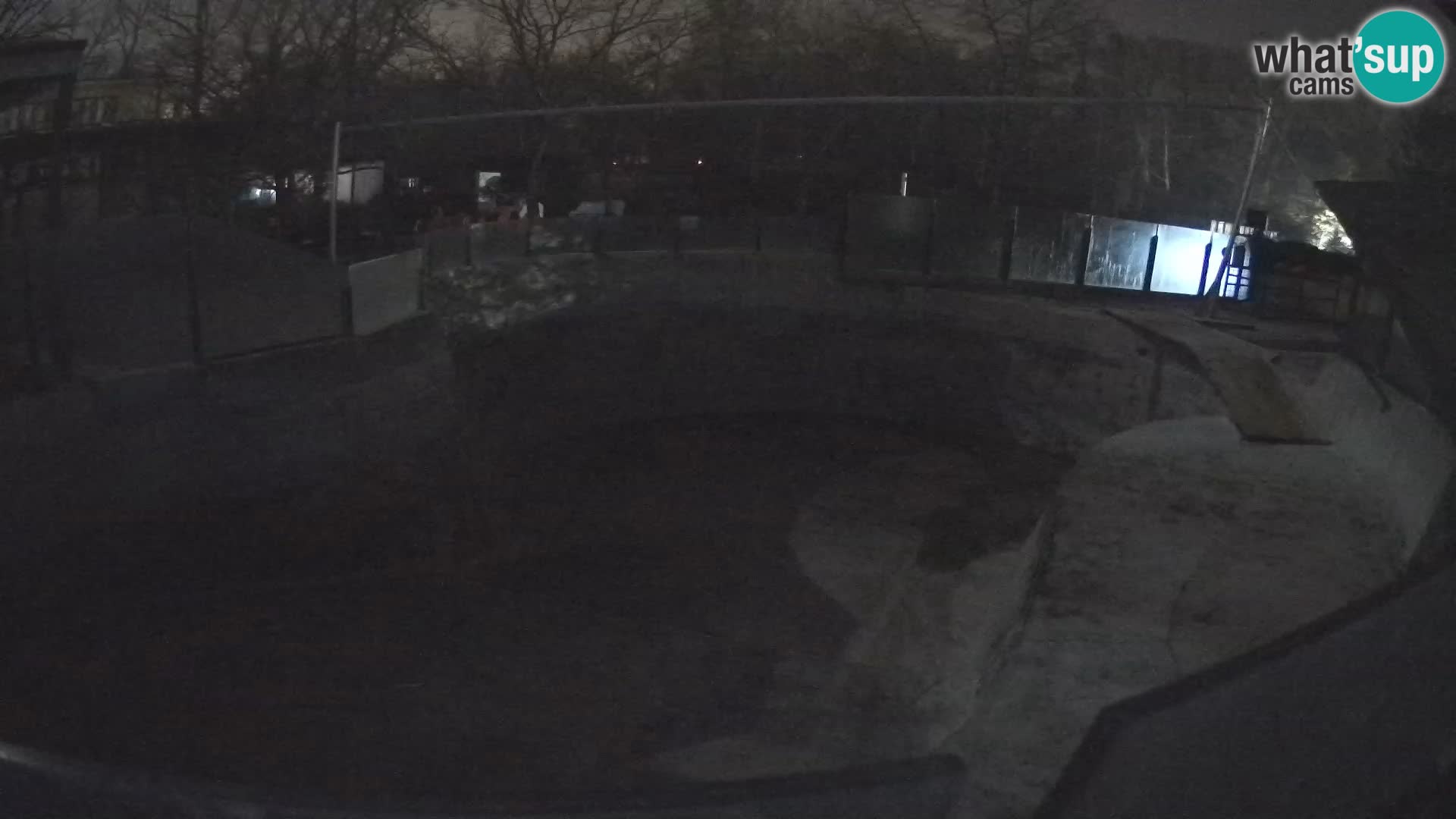 Zoo Zagreb –  León marino de California