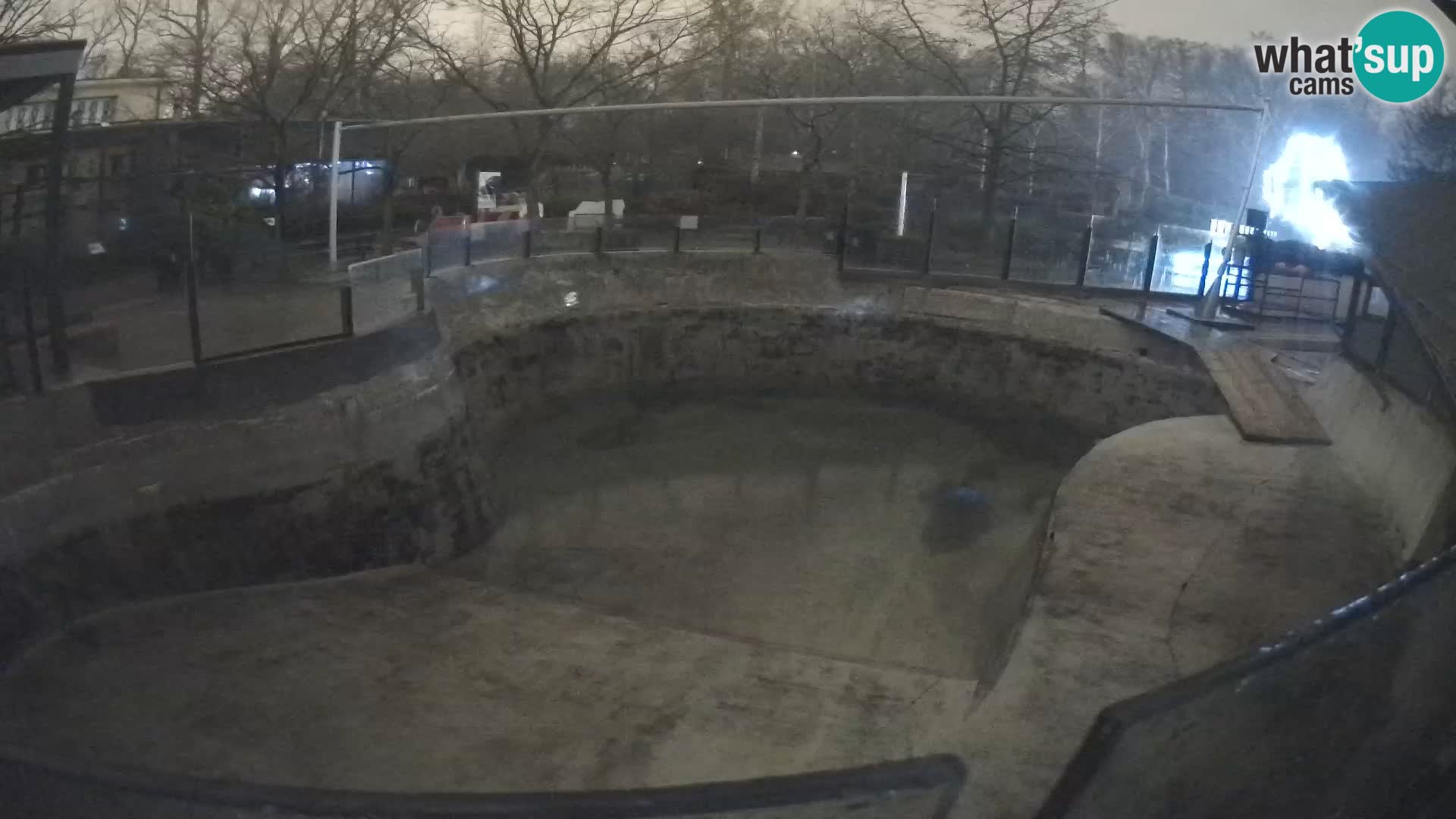 Zoo Zagreb –  León marino de California