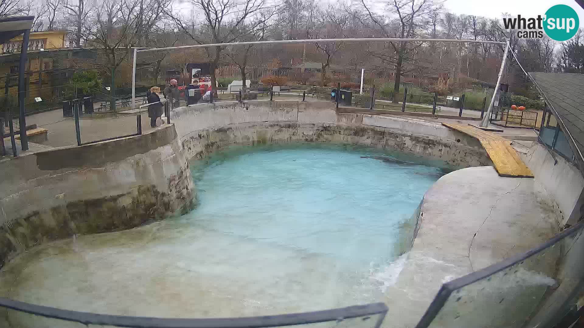 Zoo Zagreb – Otarie de Californie