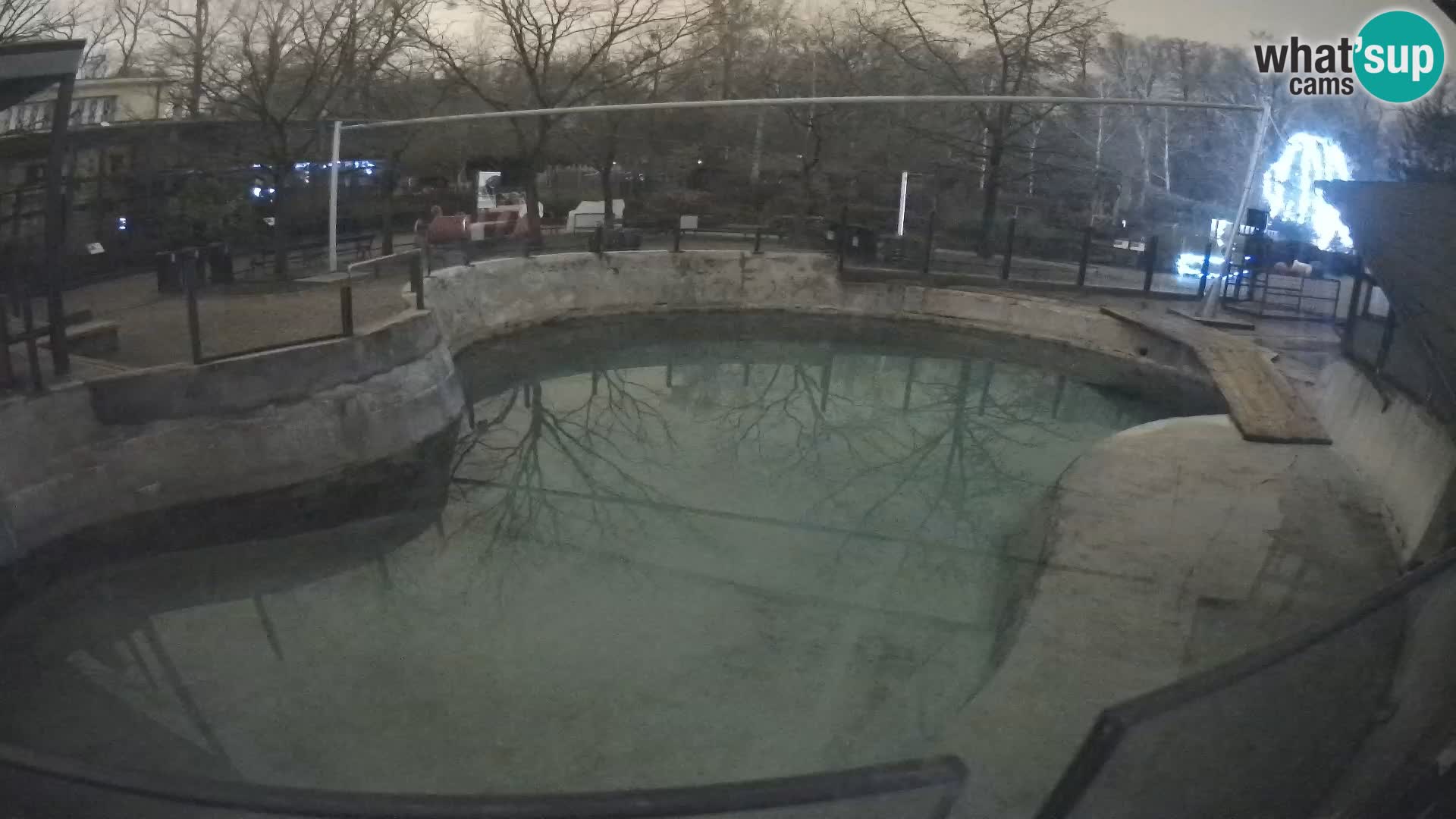 Zoo Zagreb – Otarie de Californie