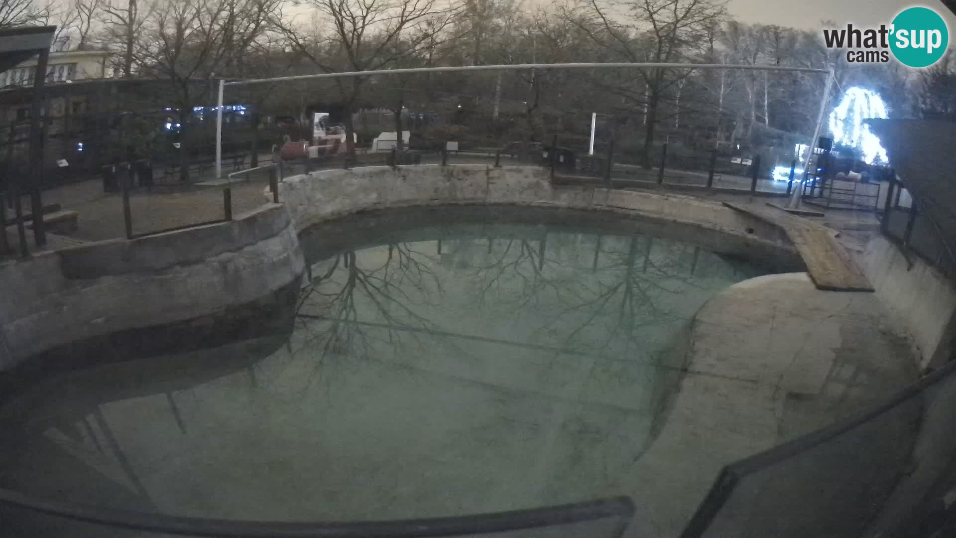 Zoo Zagreb – Kalifornijski morski lav