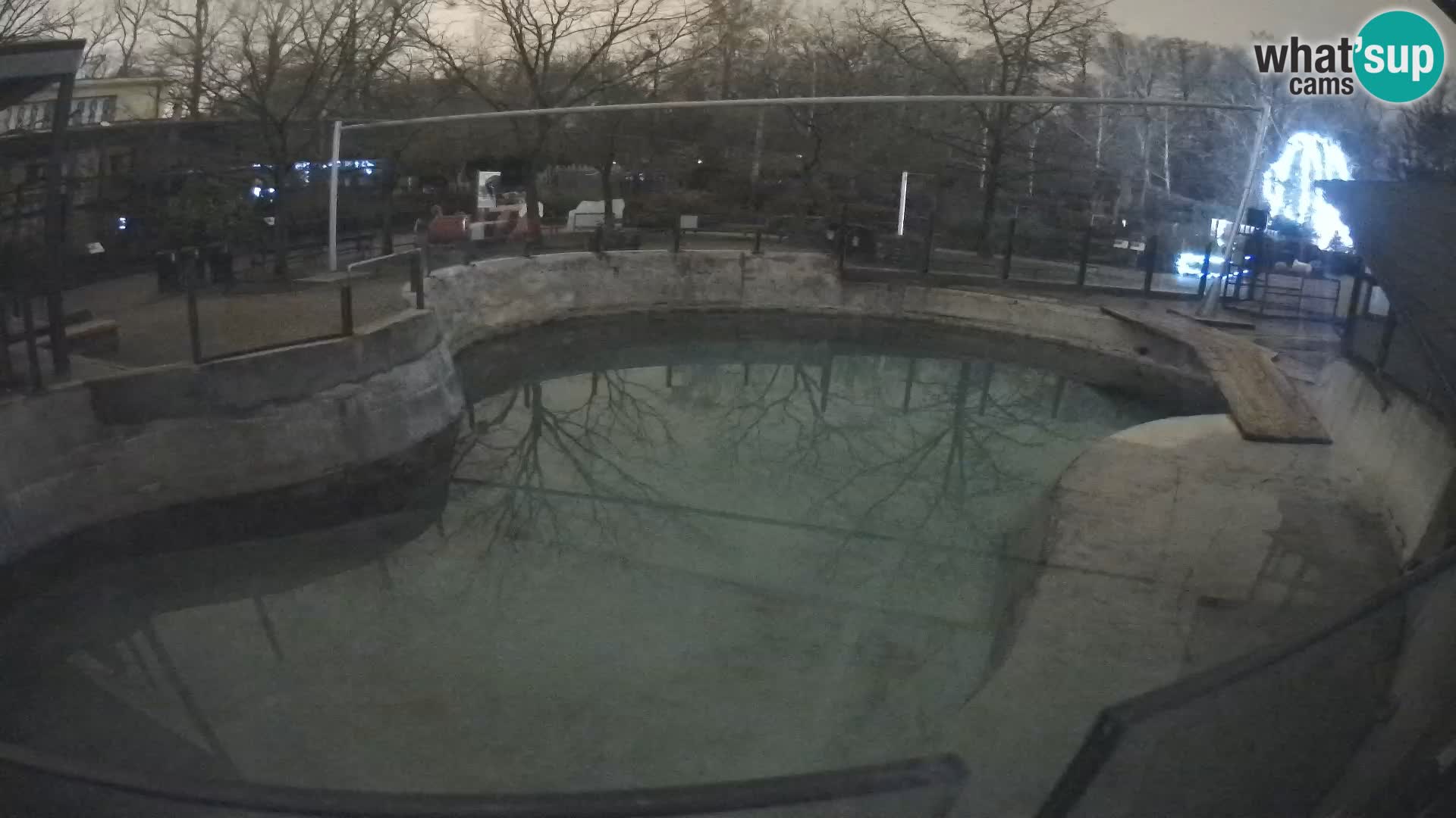 Zoo Zagreb – Kalifornijski morski lav