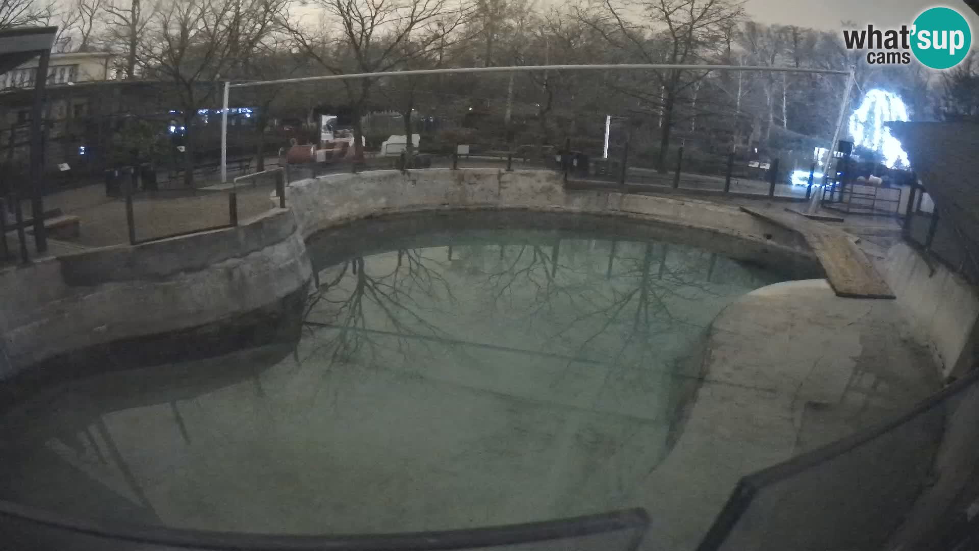 Zoo Zagreb –  León marino de California