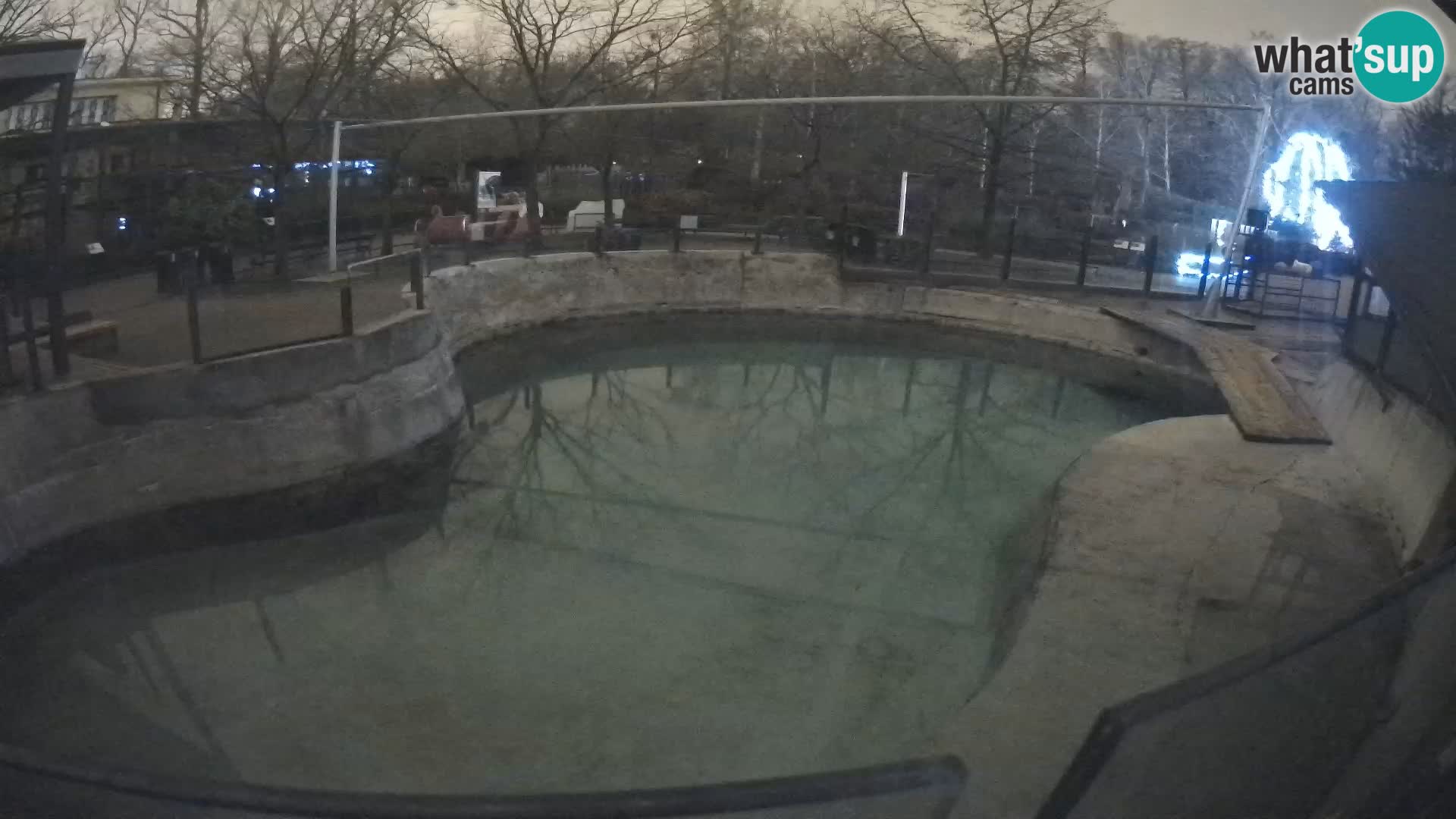 Zoo Zagreb –  León marino de California