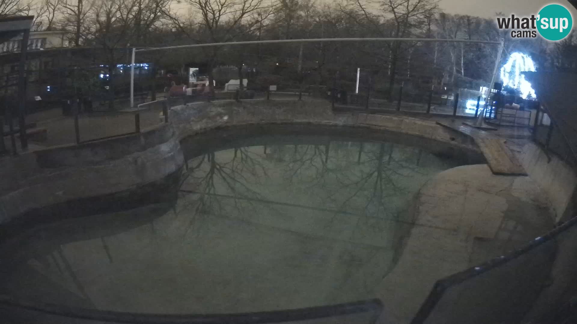 Zoo Zagreb – Kalifornijski morski lav