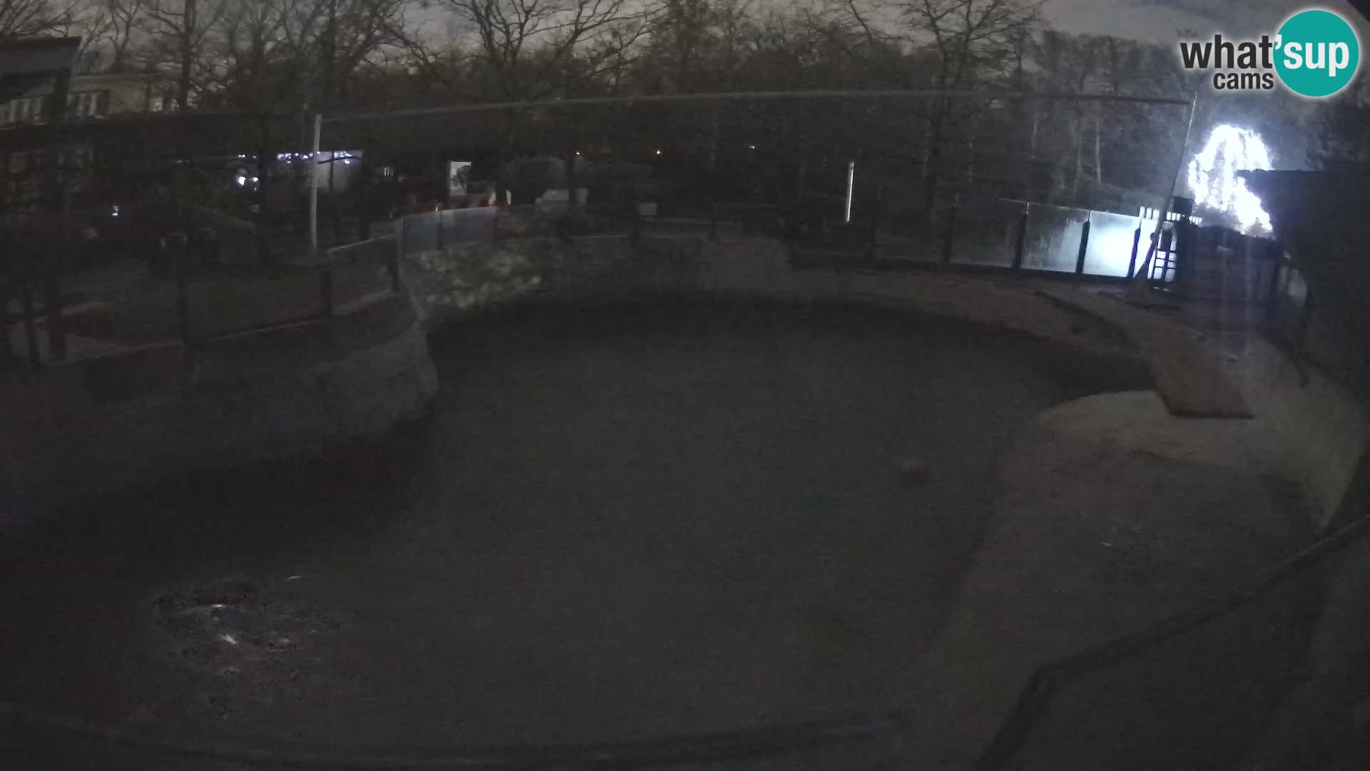 Zoo Zagreb –  León marino de California